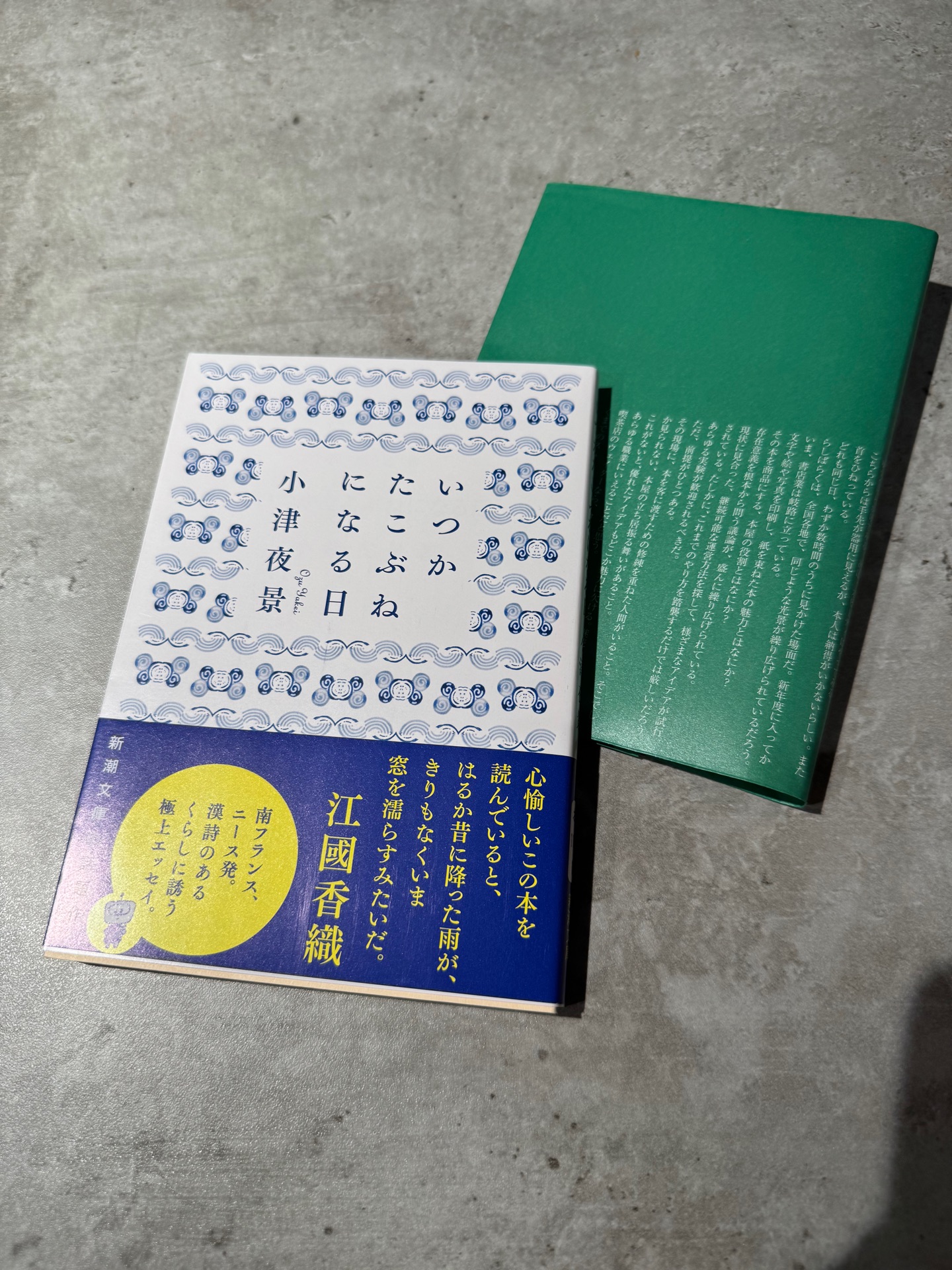 いつかたこぶねになる日