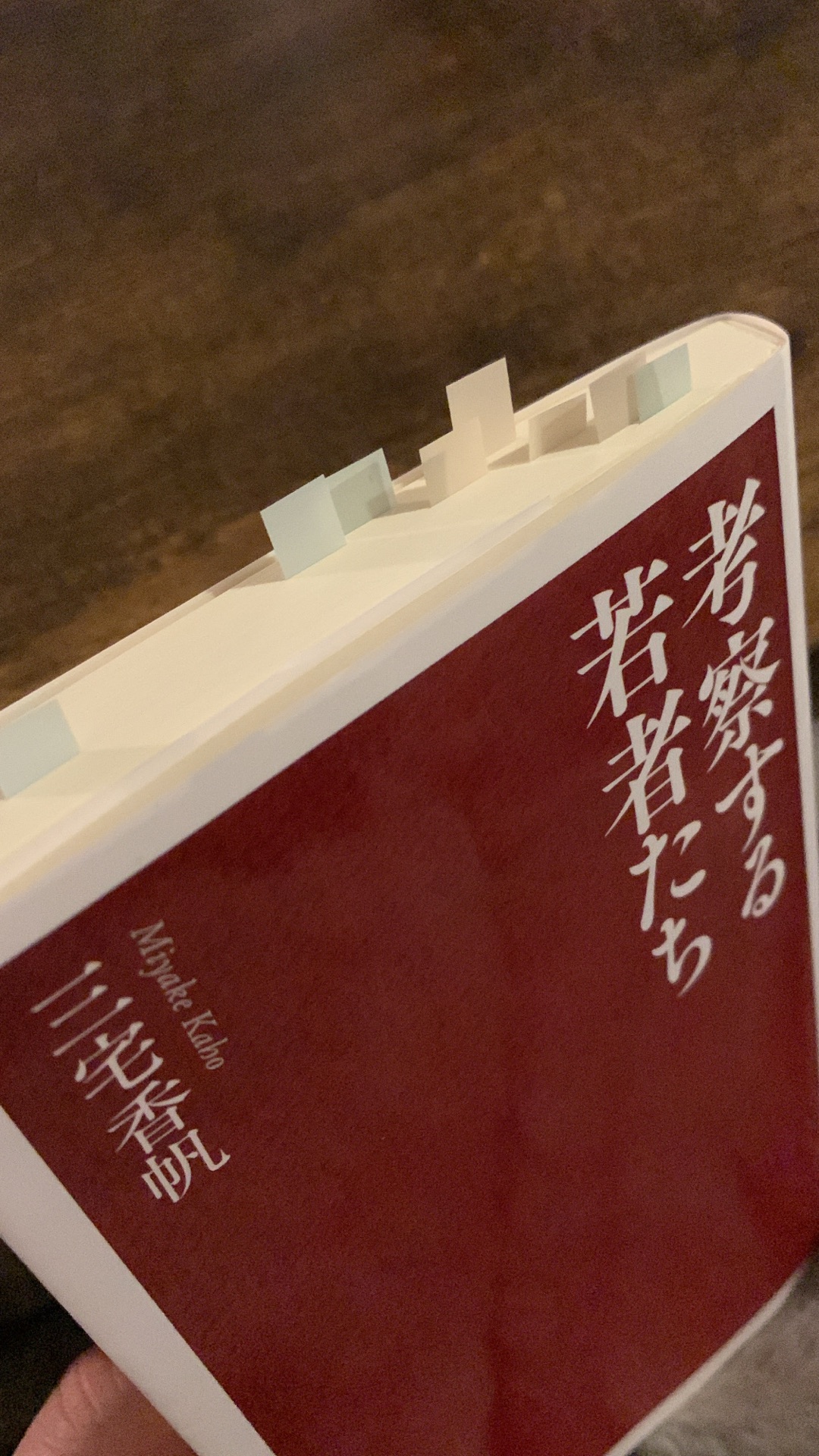 考察する若者たち