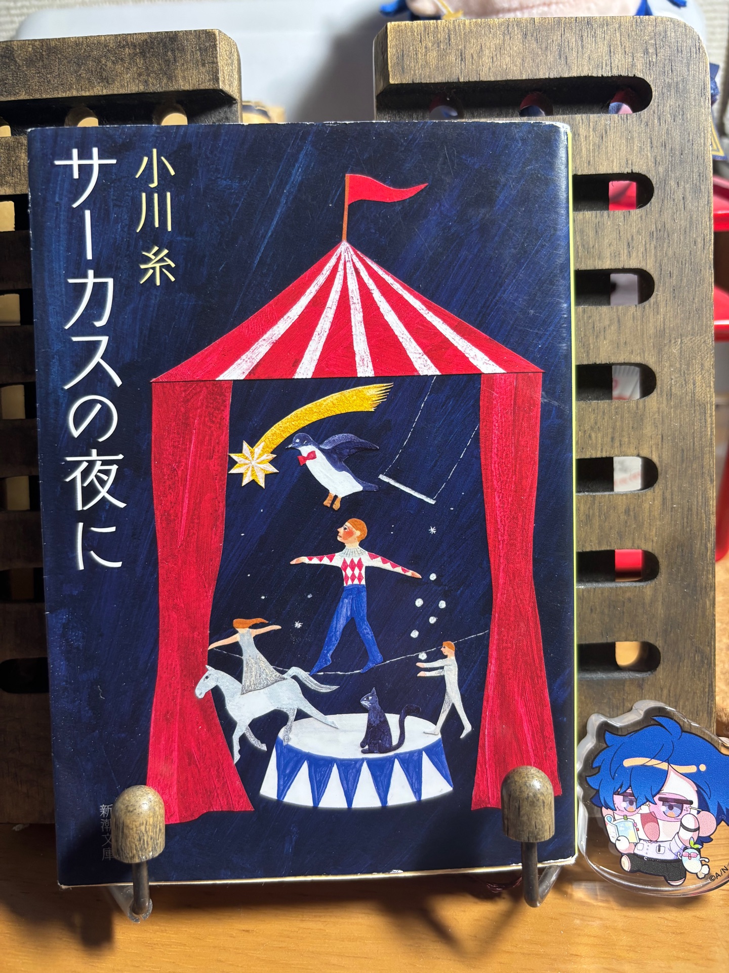 サーカスの夜に