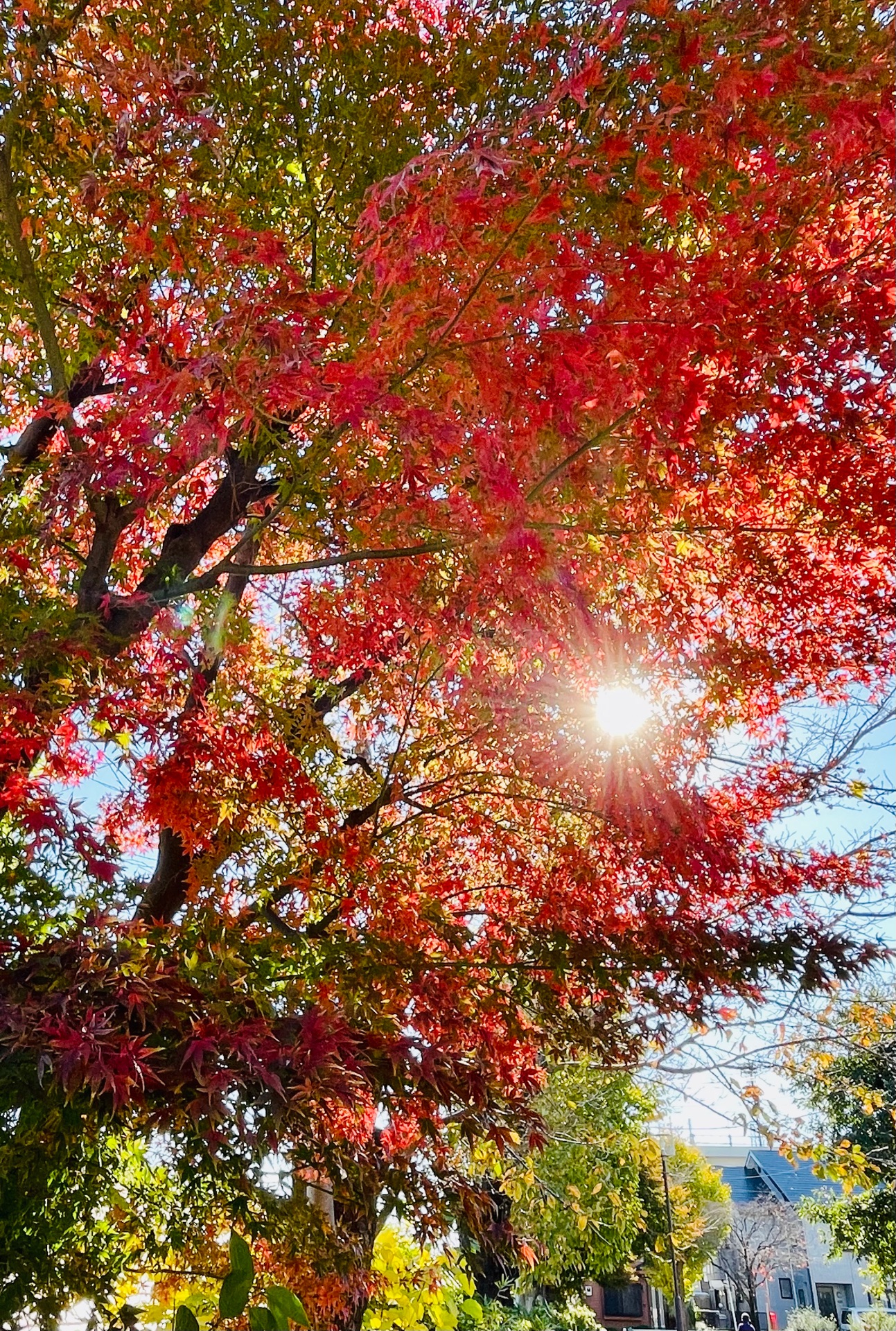 空と風と星と詩
