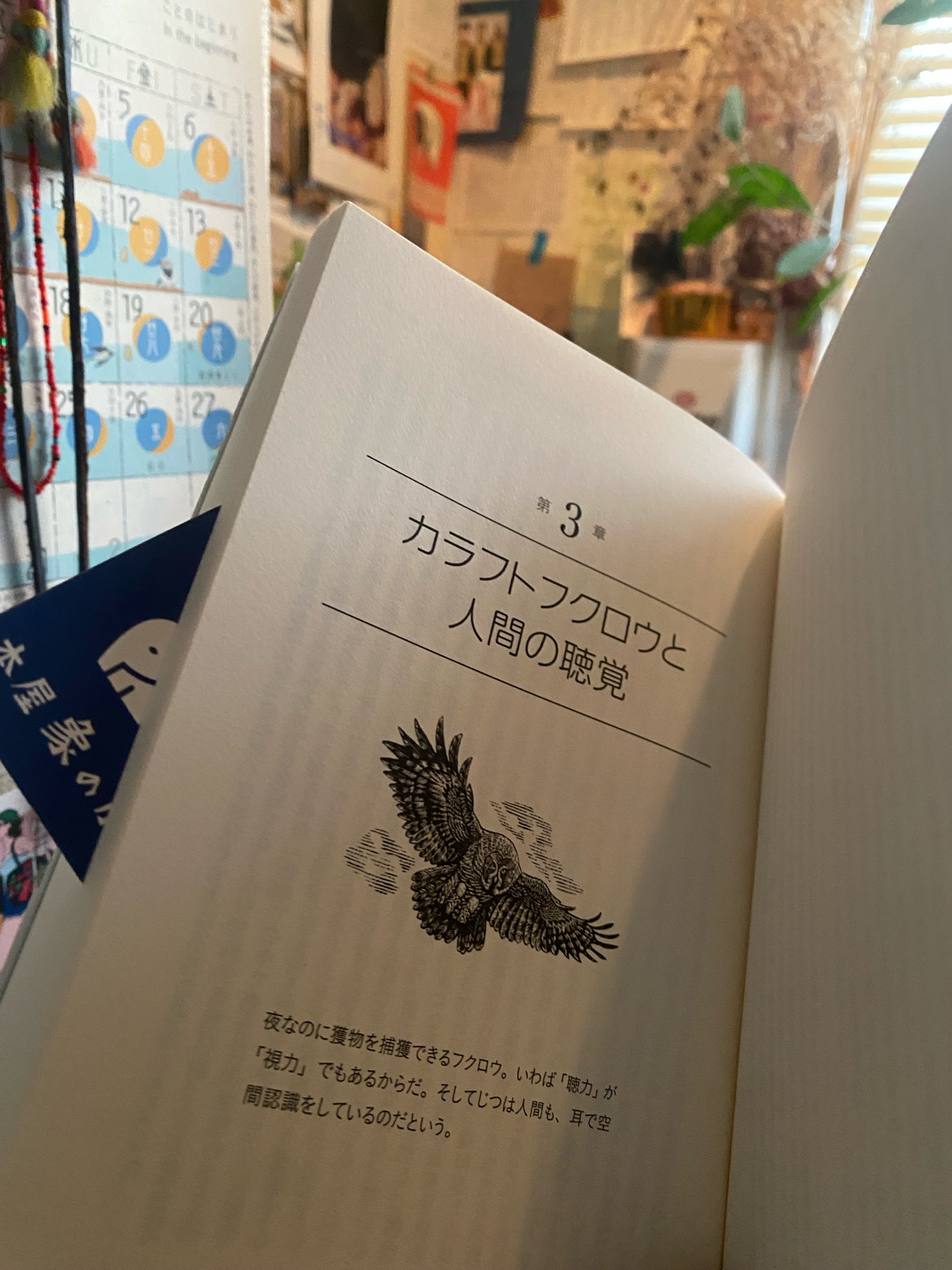 人間には12の感覚がある 動物たちに学ぶセンス・オブ・ワンダー