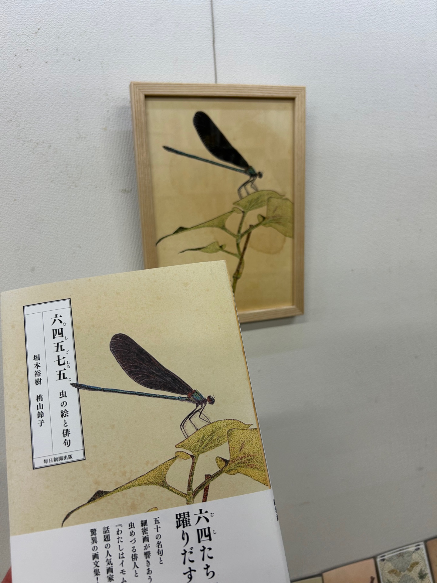 六四五七五（むしごしちご）