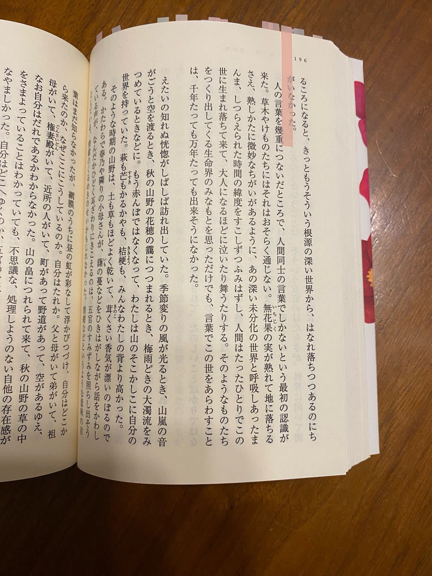 椿の海の記