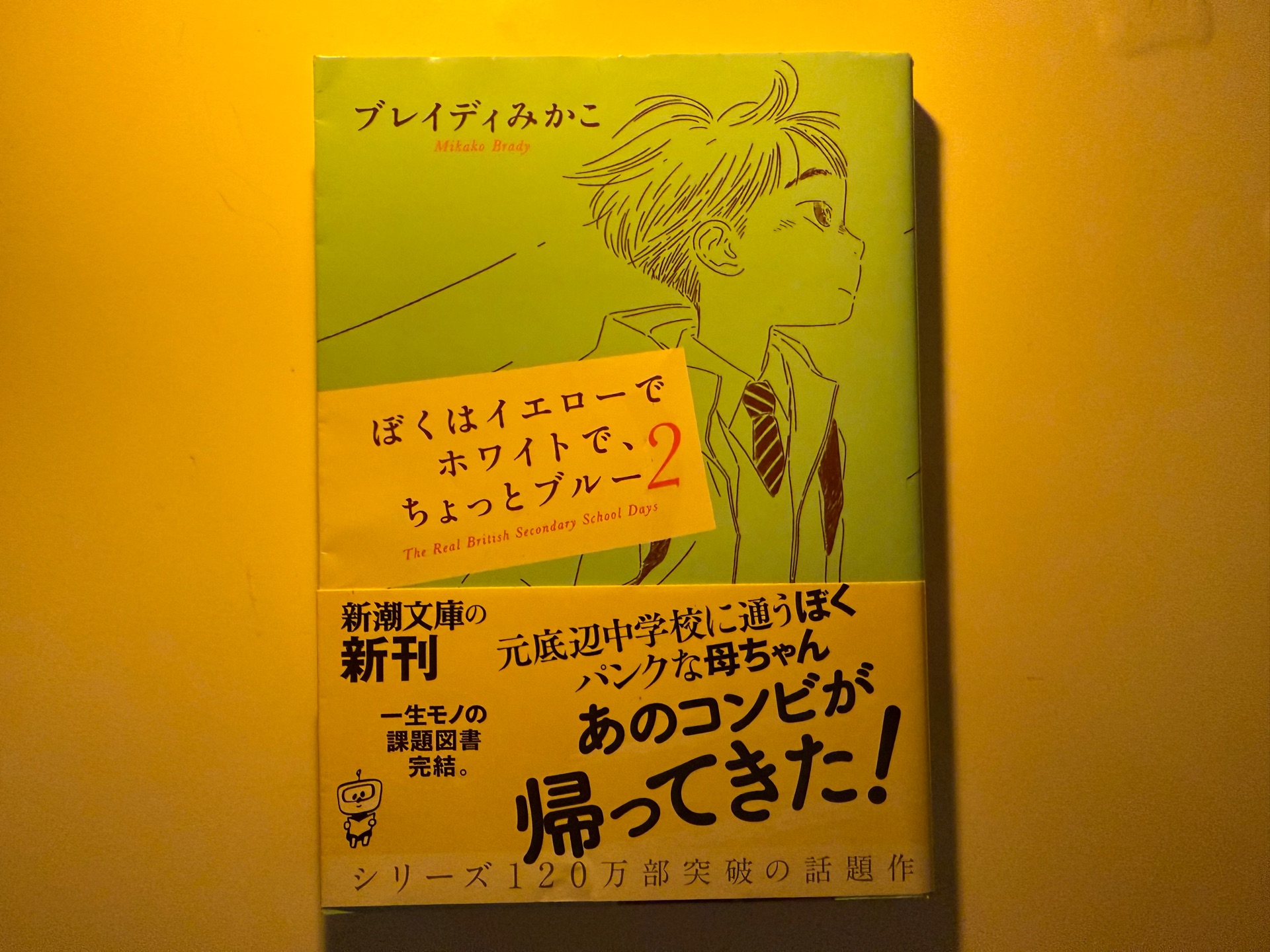 ぼくはイエローでホワイトで、ちょっとブルー 2