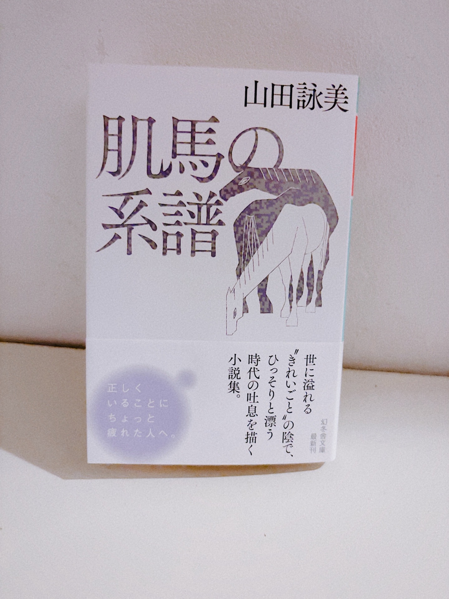 肌馬の系譜