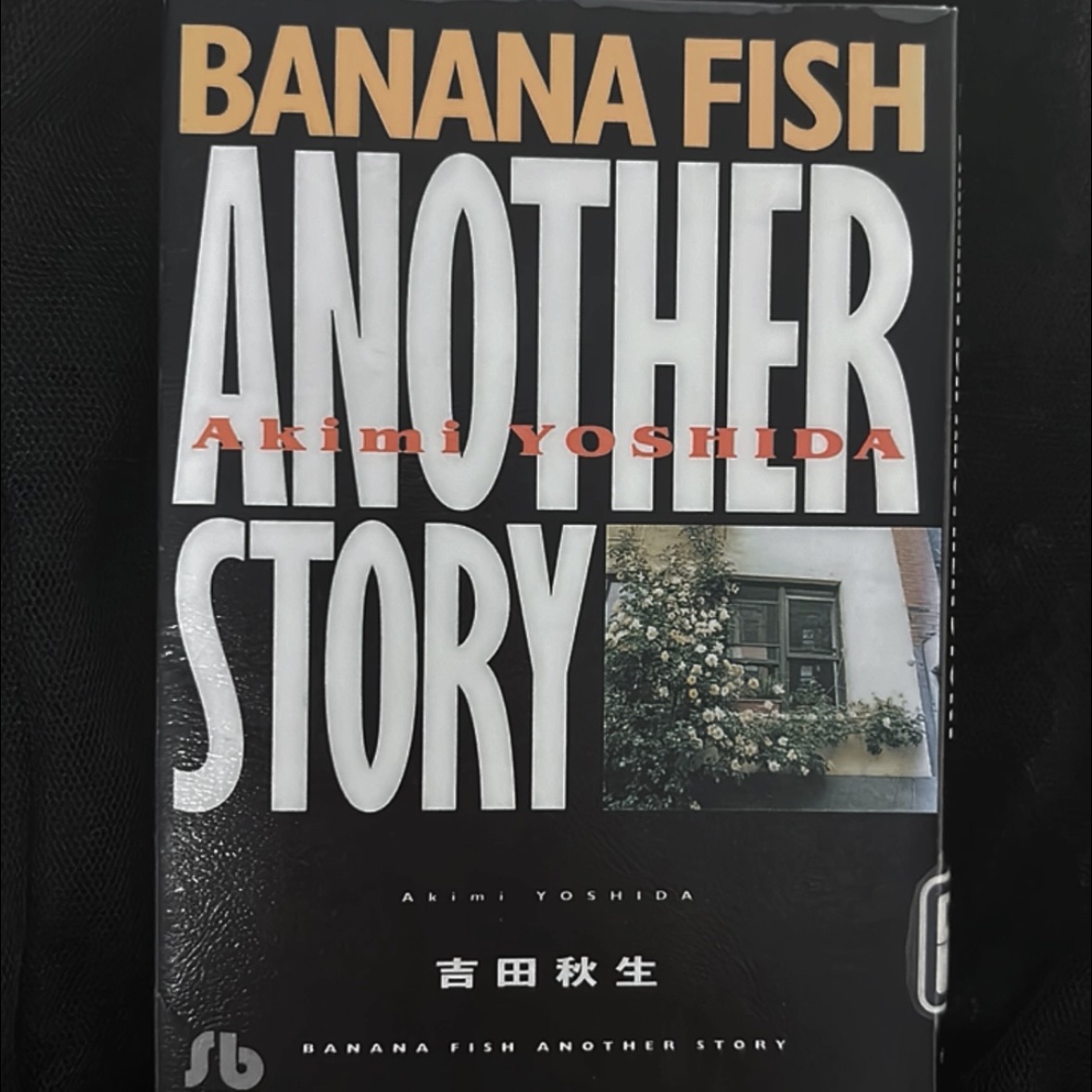 BANANA FISH ANOTHER STORY（1）