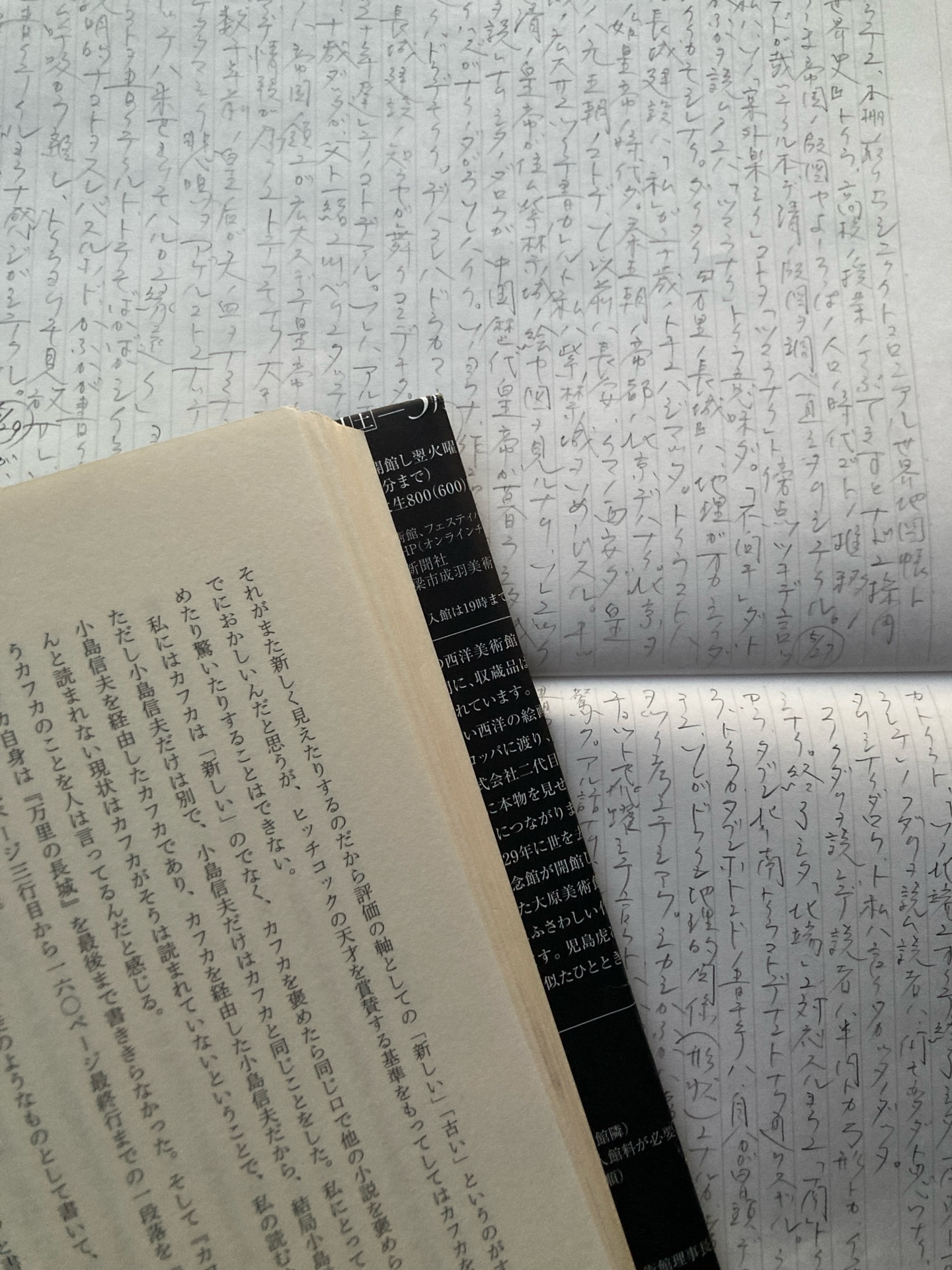試行錯誤に漂う