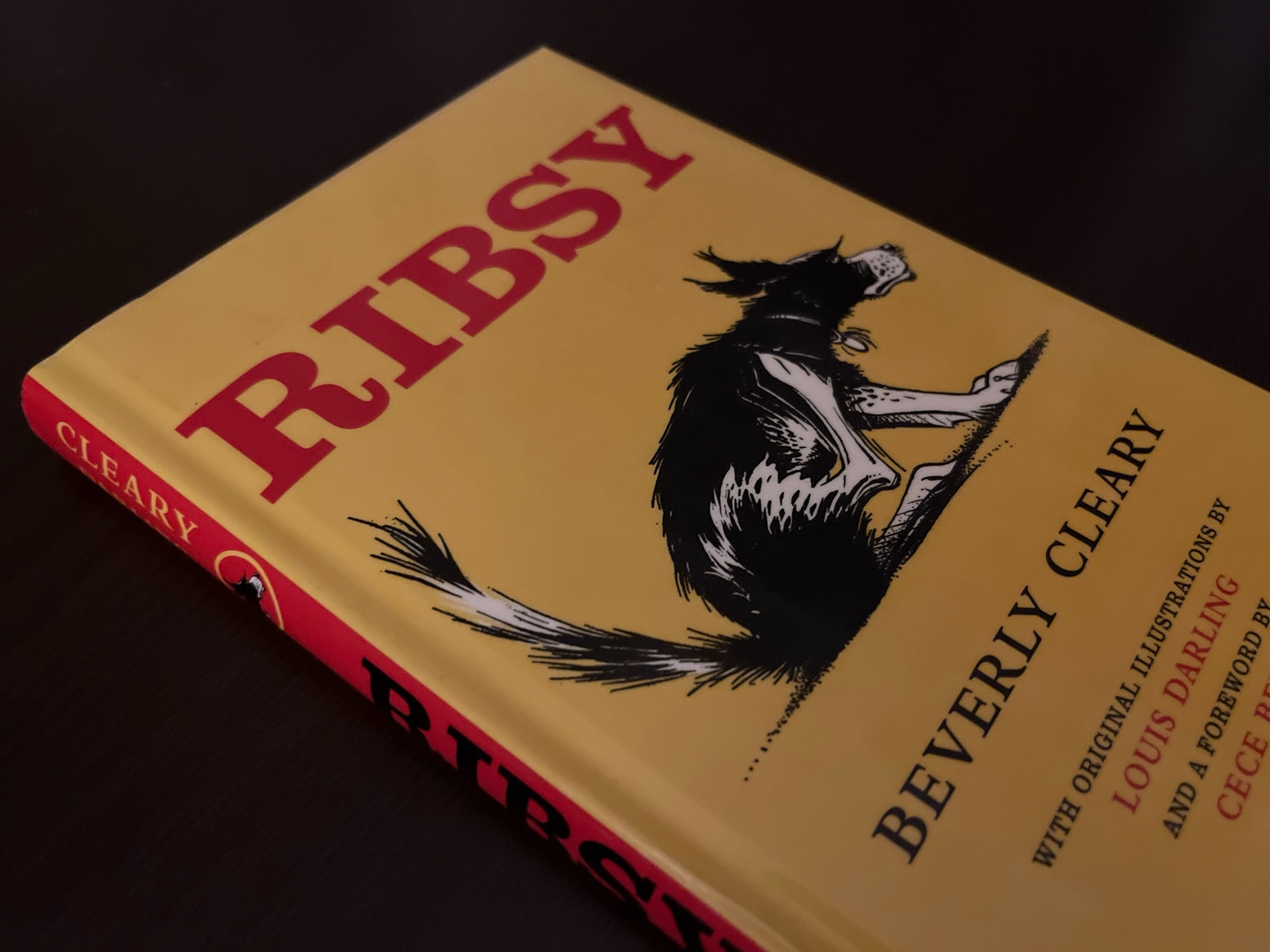 Ribsy