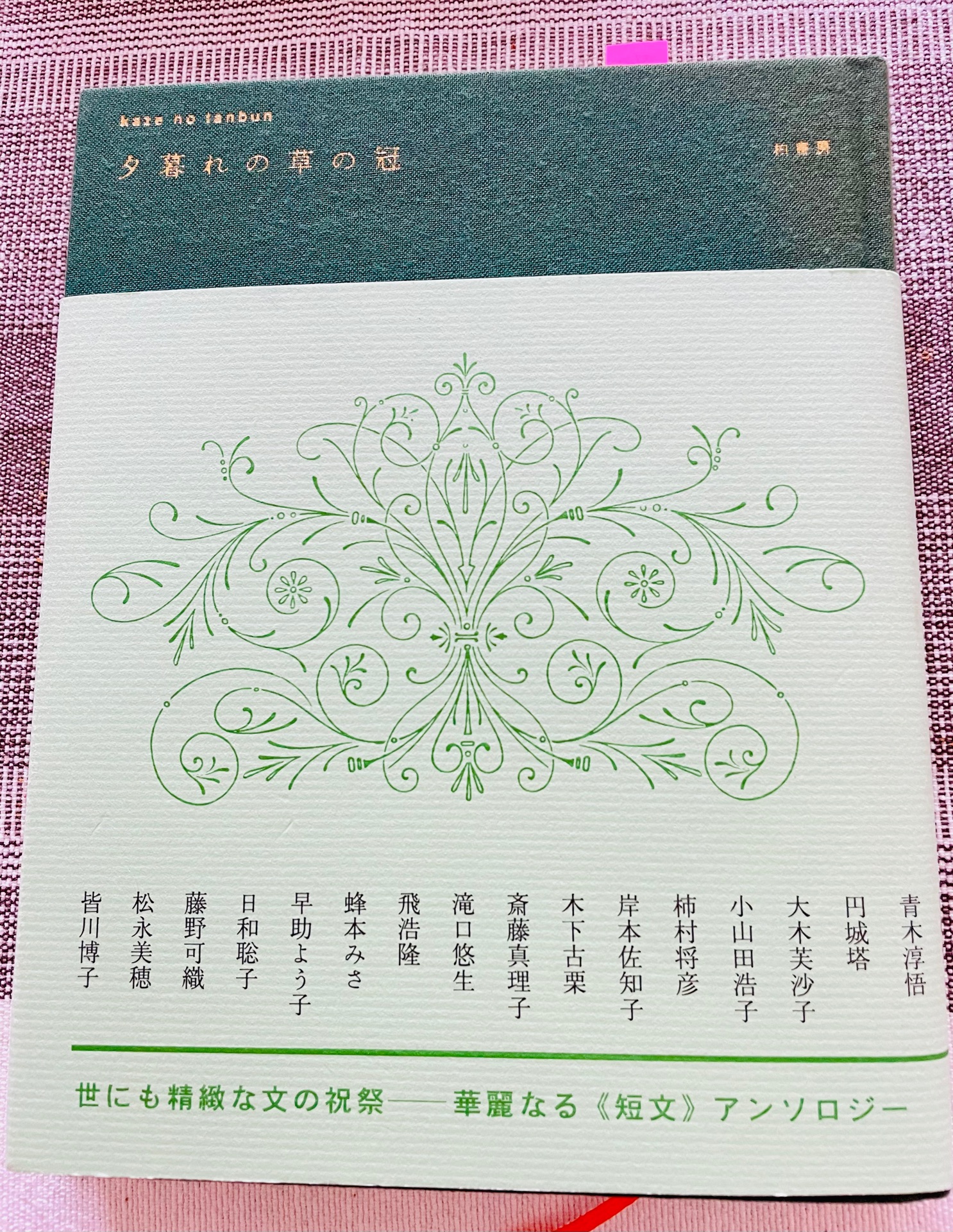 kaze no tanbun 夕暮れの草の冠