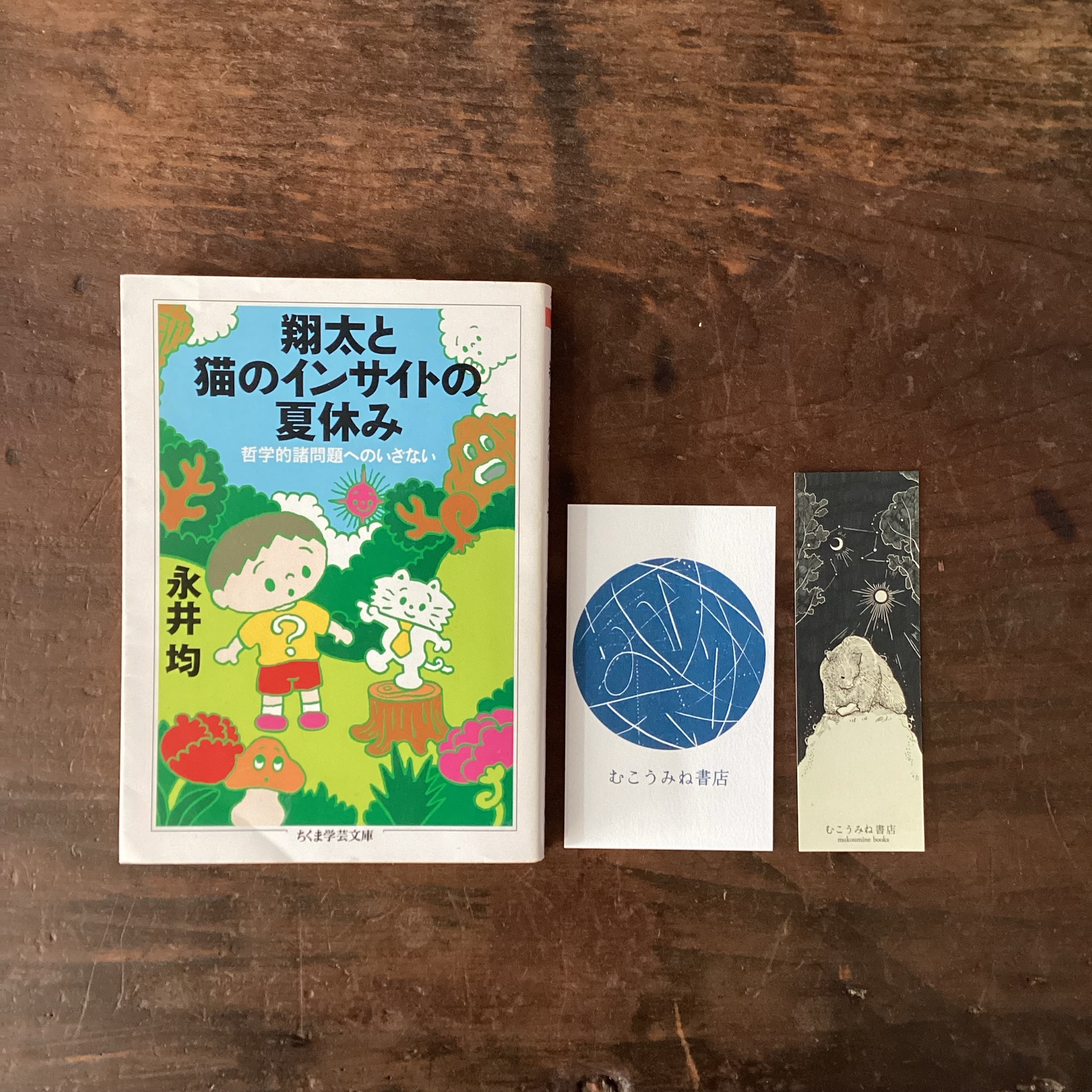 翔太と猫のインサイトの夏休み