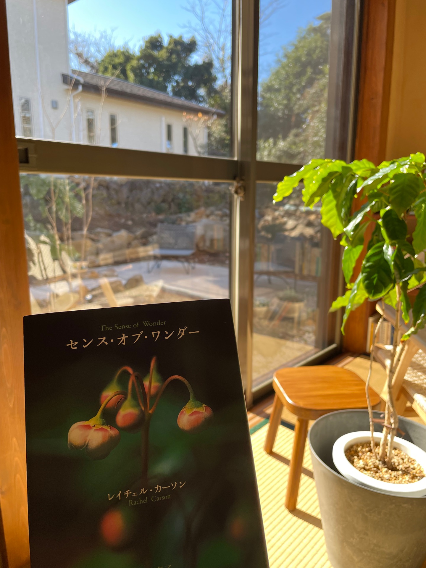 センス・オブ・ワンダー