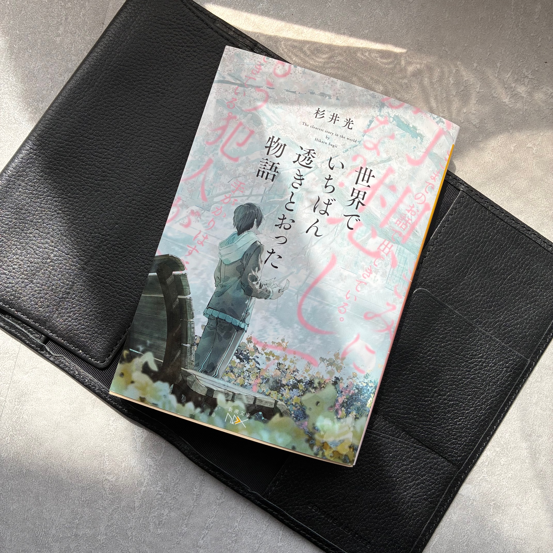 世界でいちばん透きとおった物語