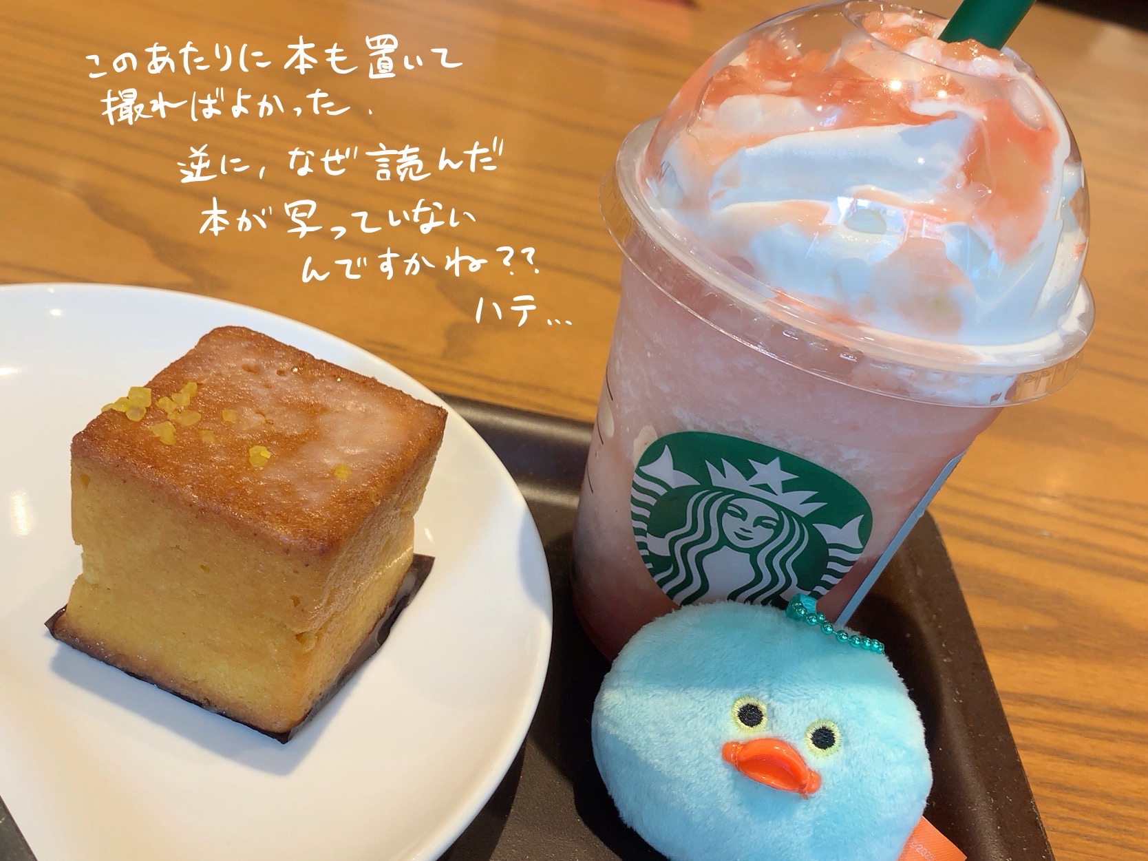 本は眺めたり触ったりが楽しい
