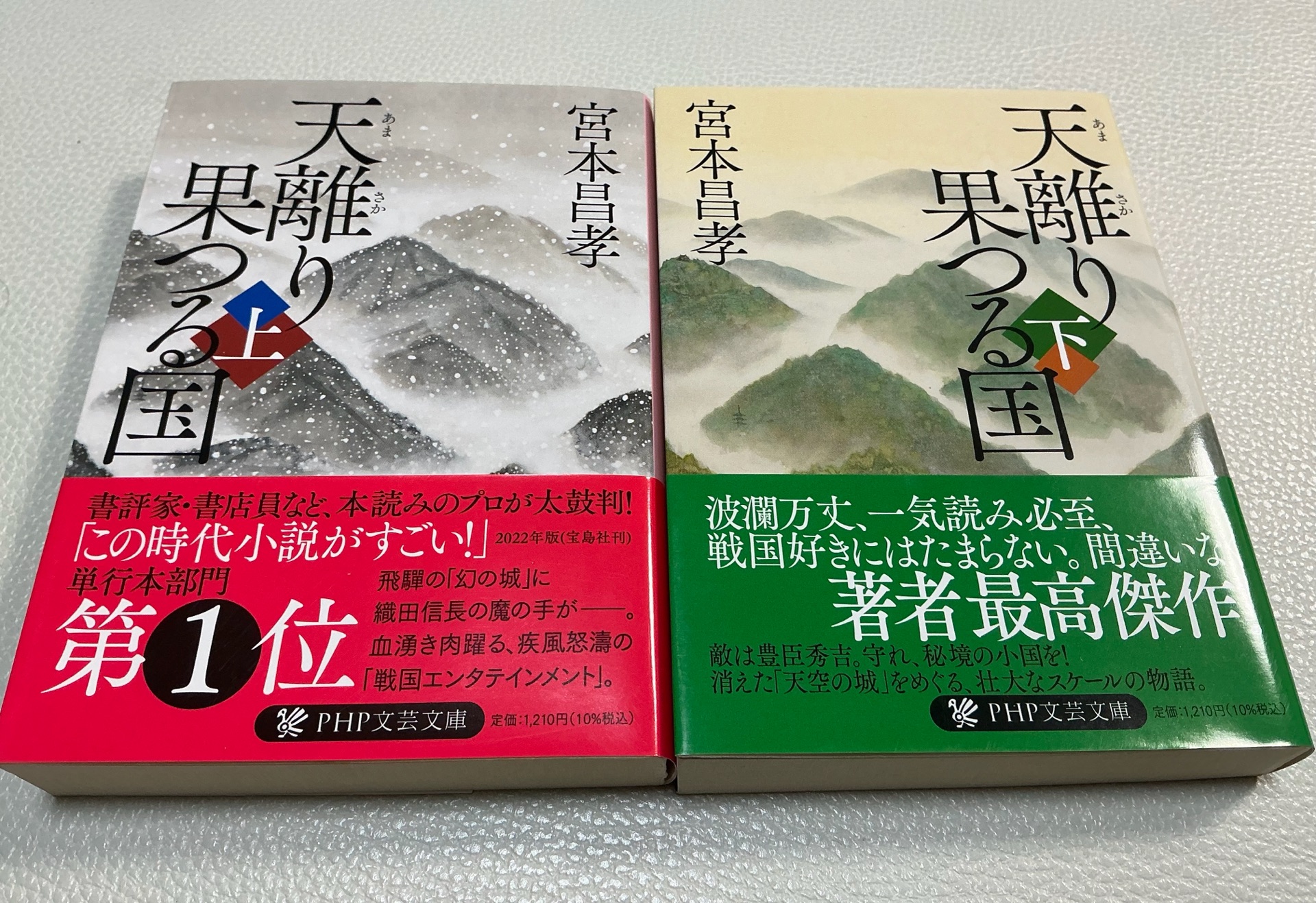天離り果つる国(下)