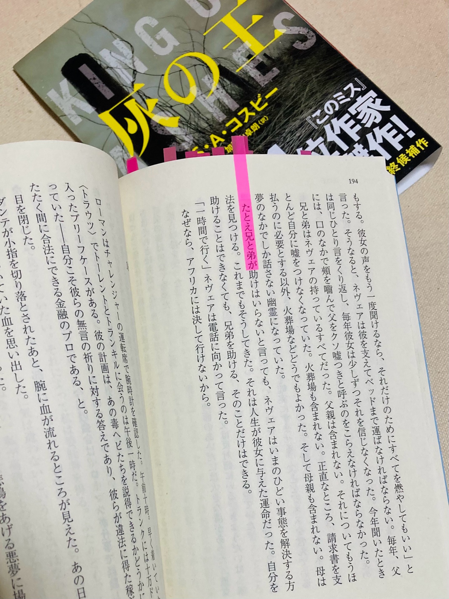 灰の王