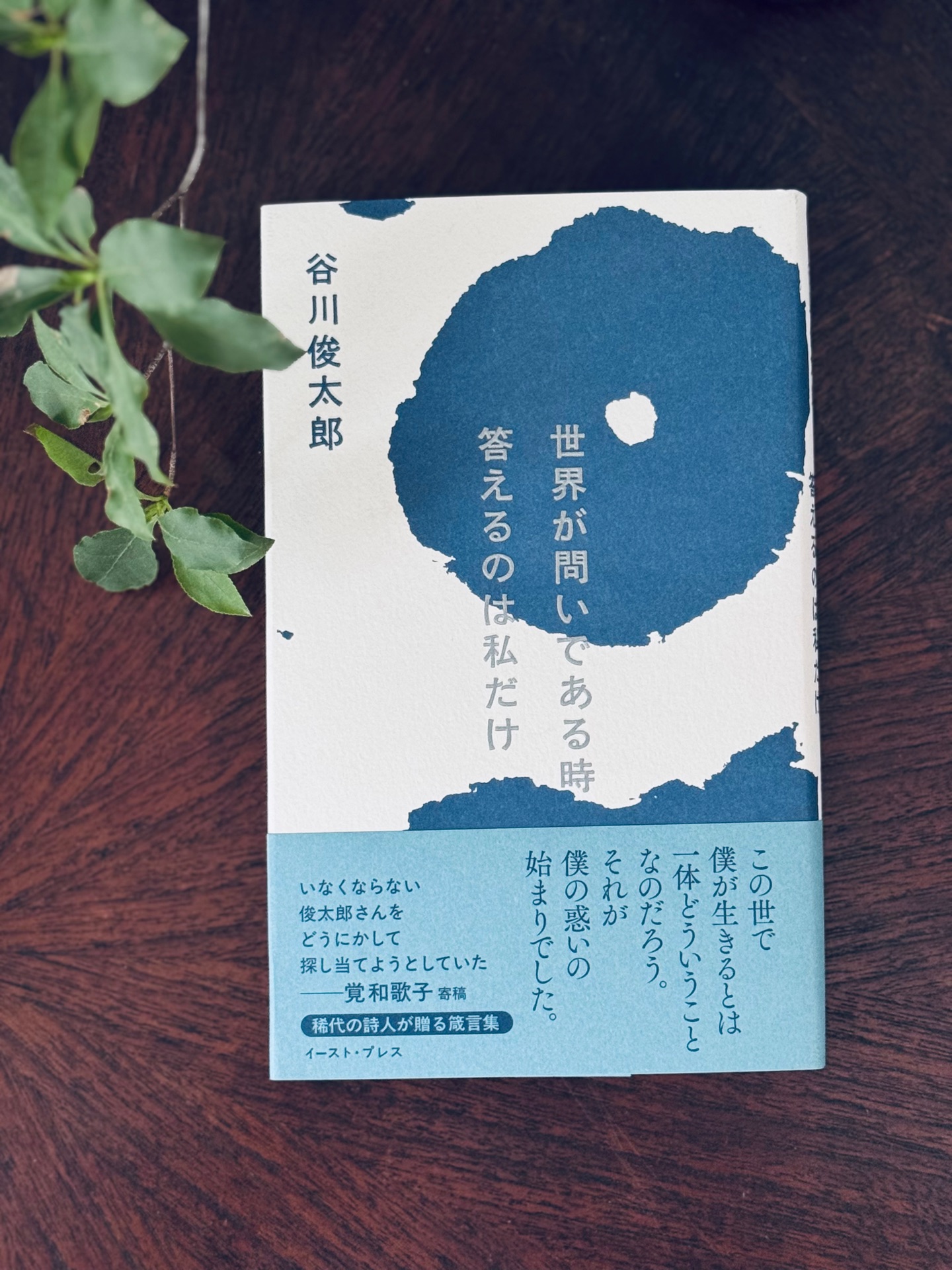 世界が問いである時　答えるのは私だけ