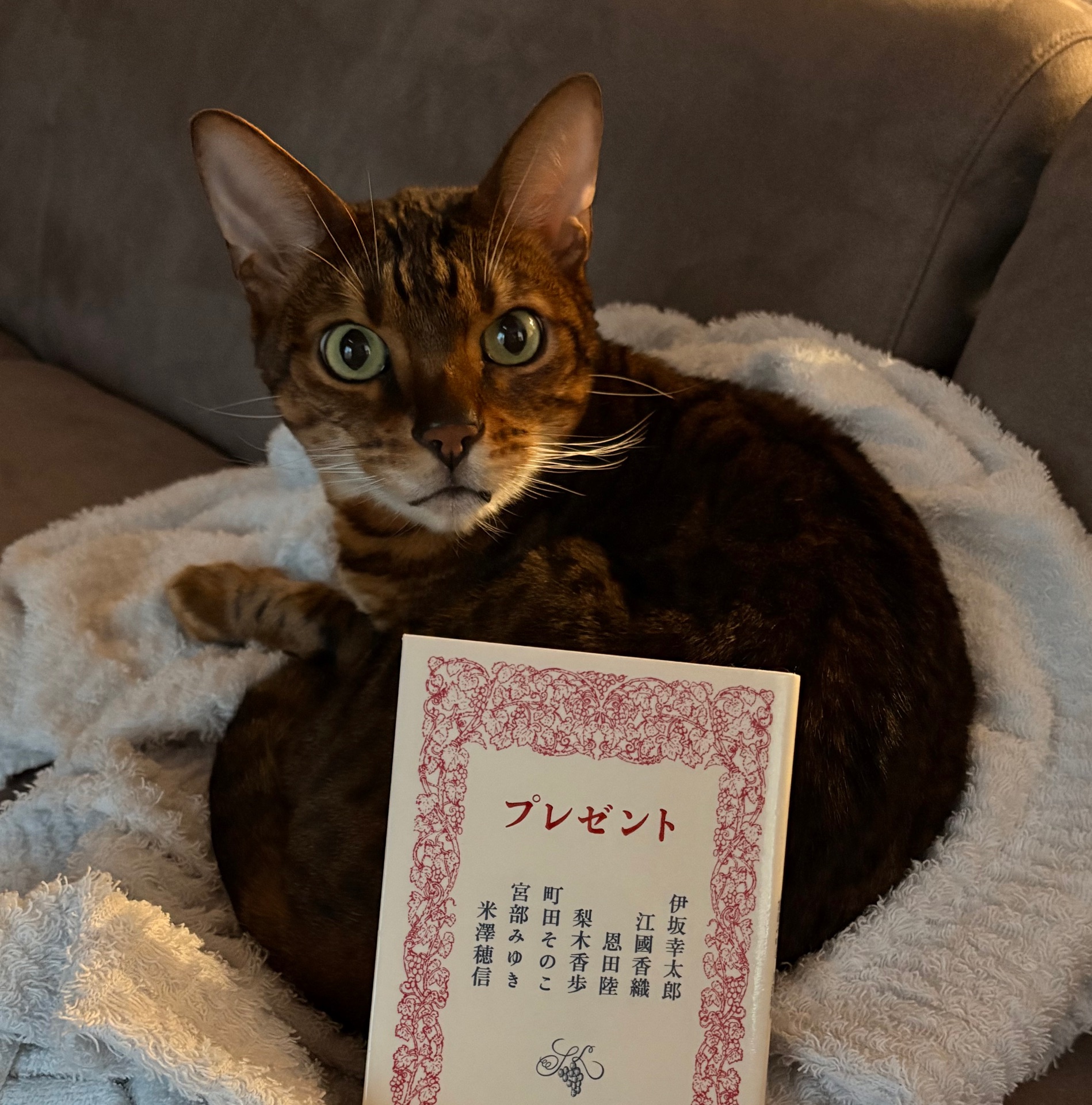 プレゼント