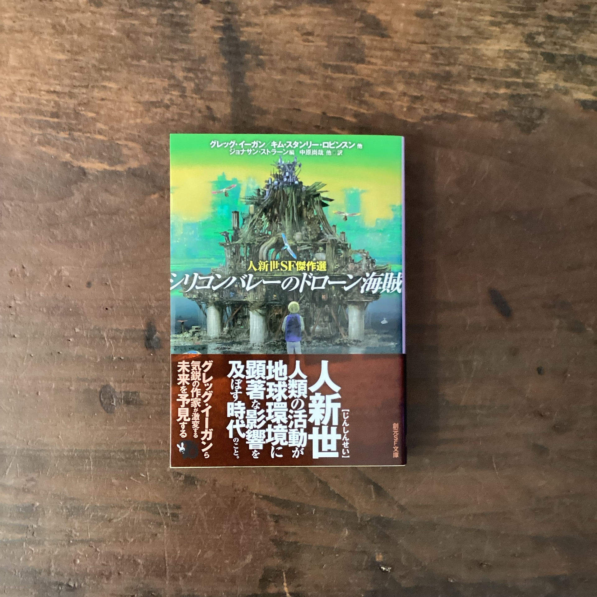 シリコンバレーのドローン海賊