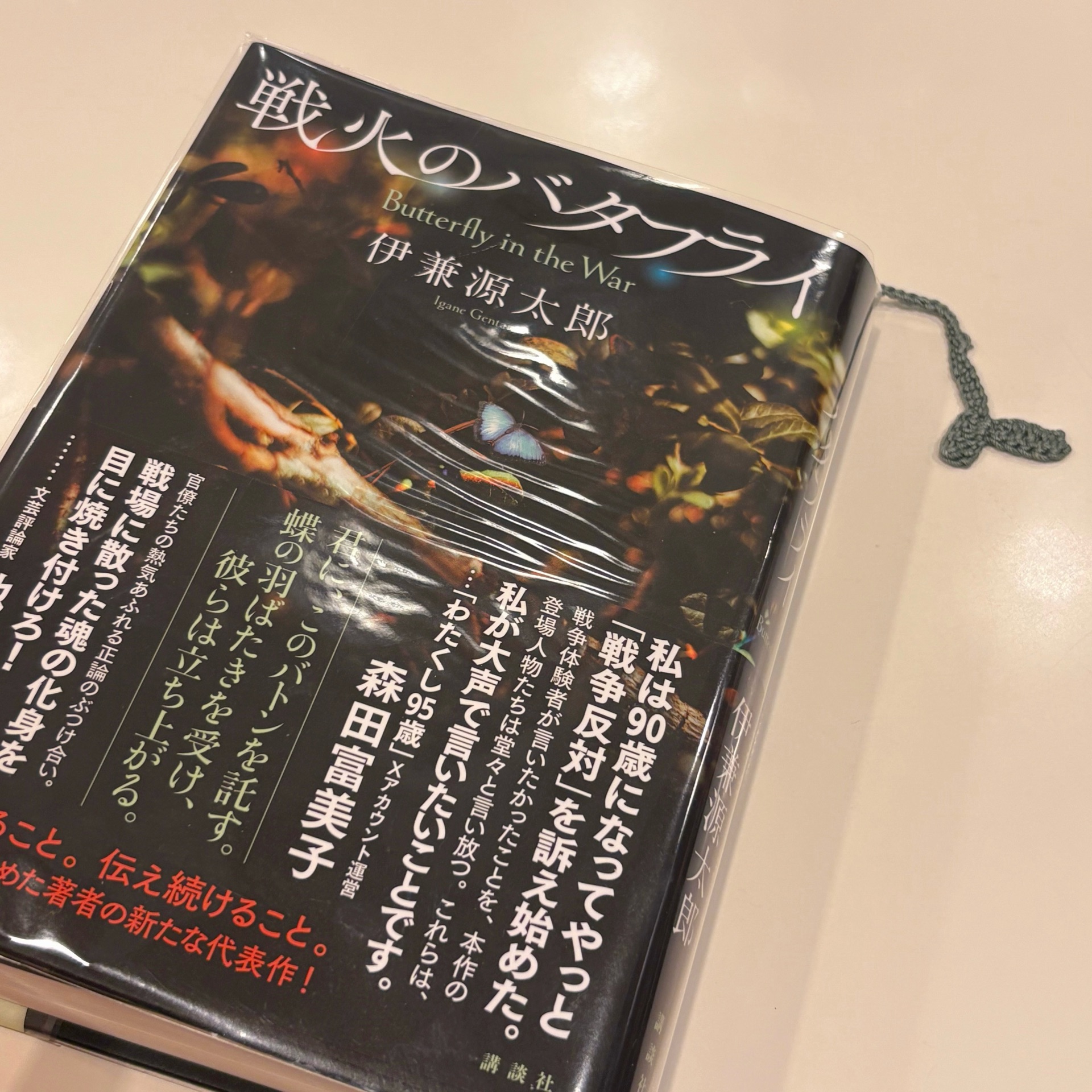 戦火のバタフライ
