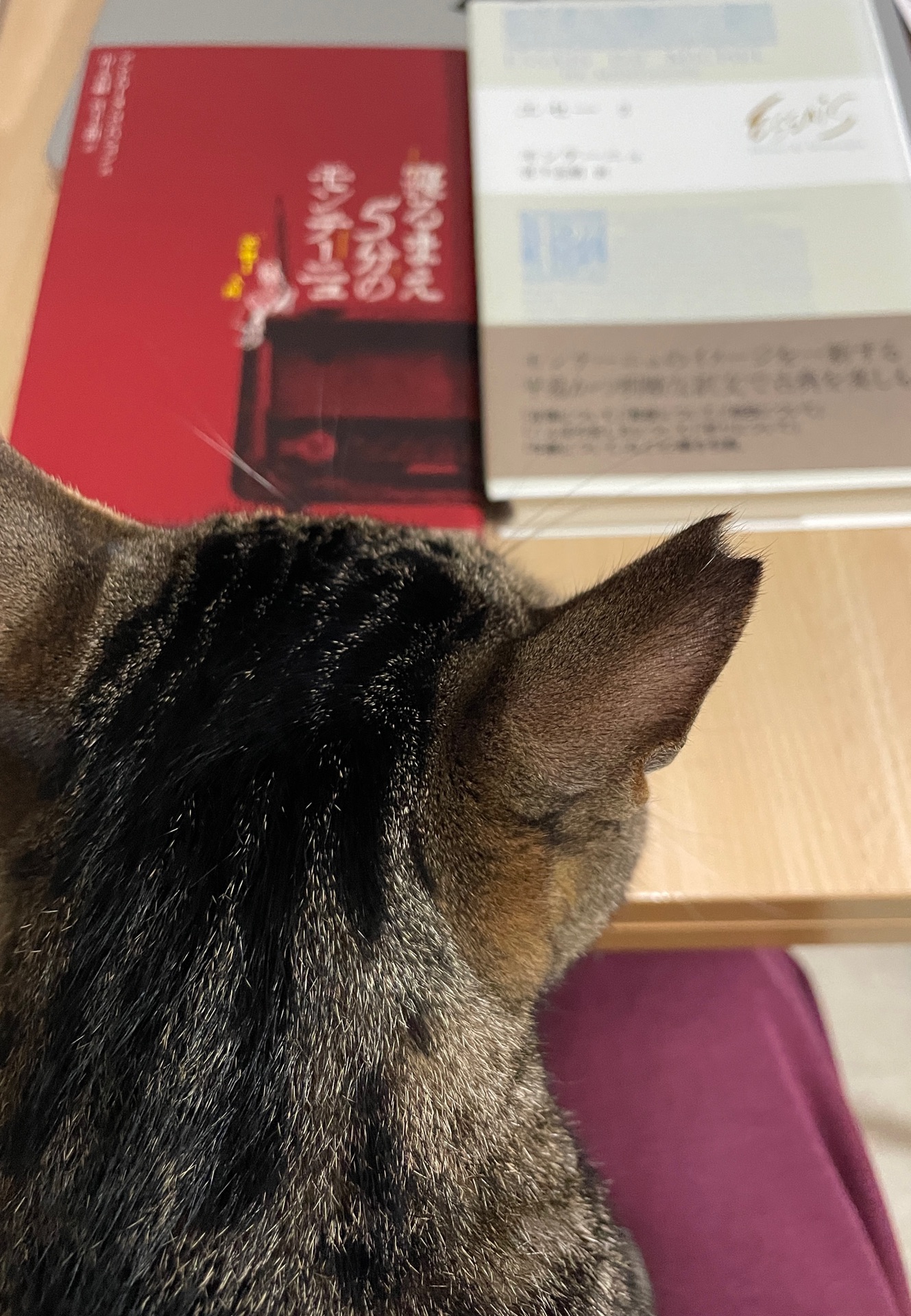 寝るまえ5分のモンテーニュ