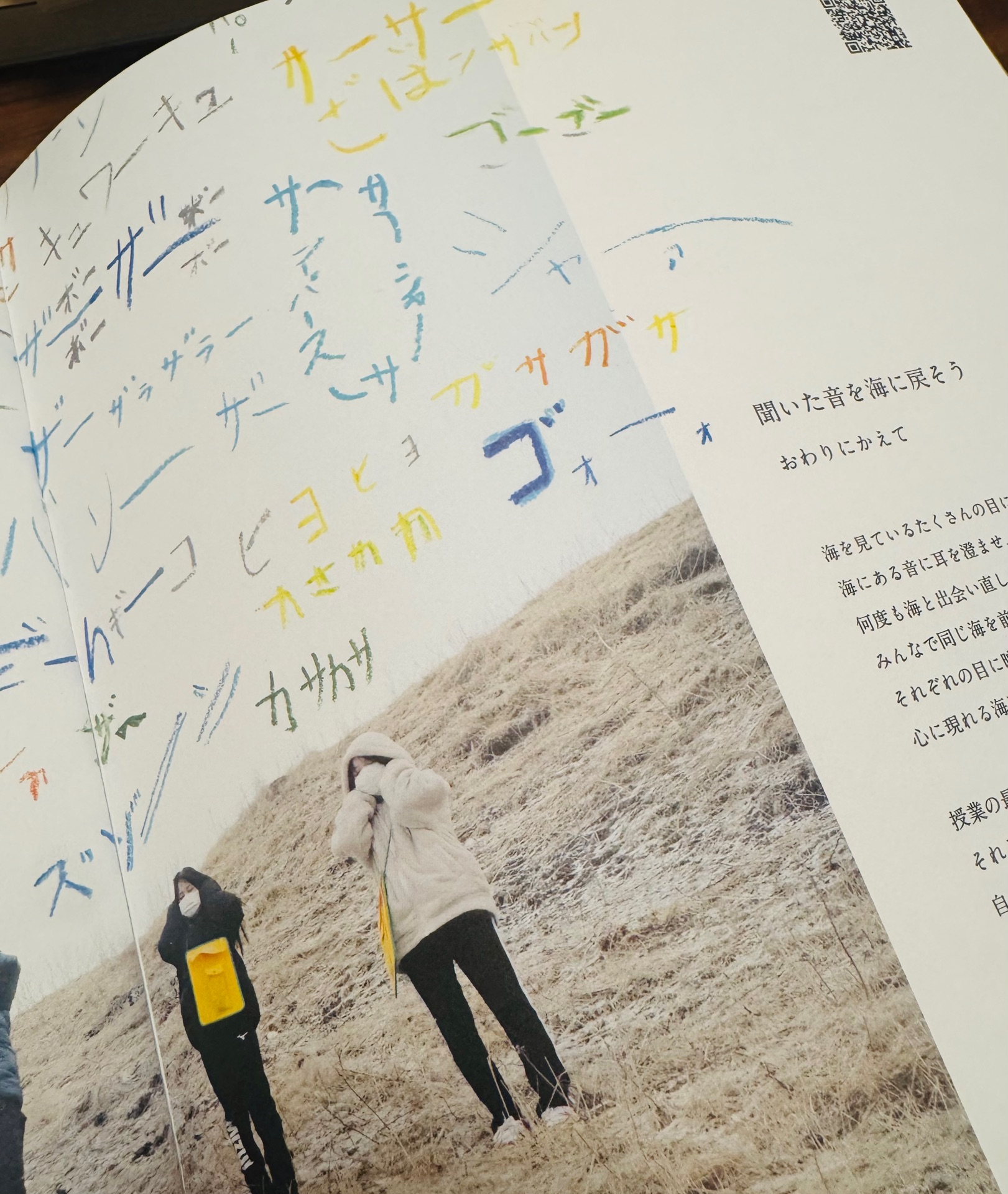 海を見ているたくさんの目/聞こえてきた海