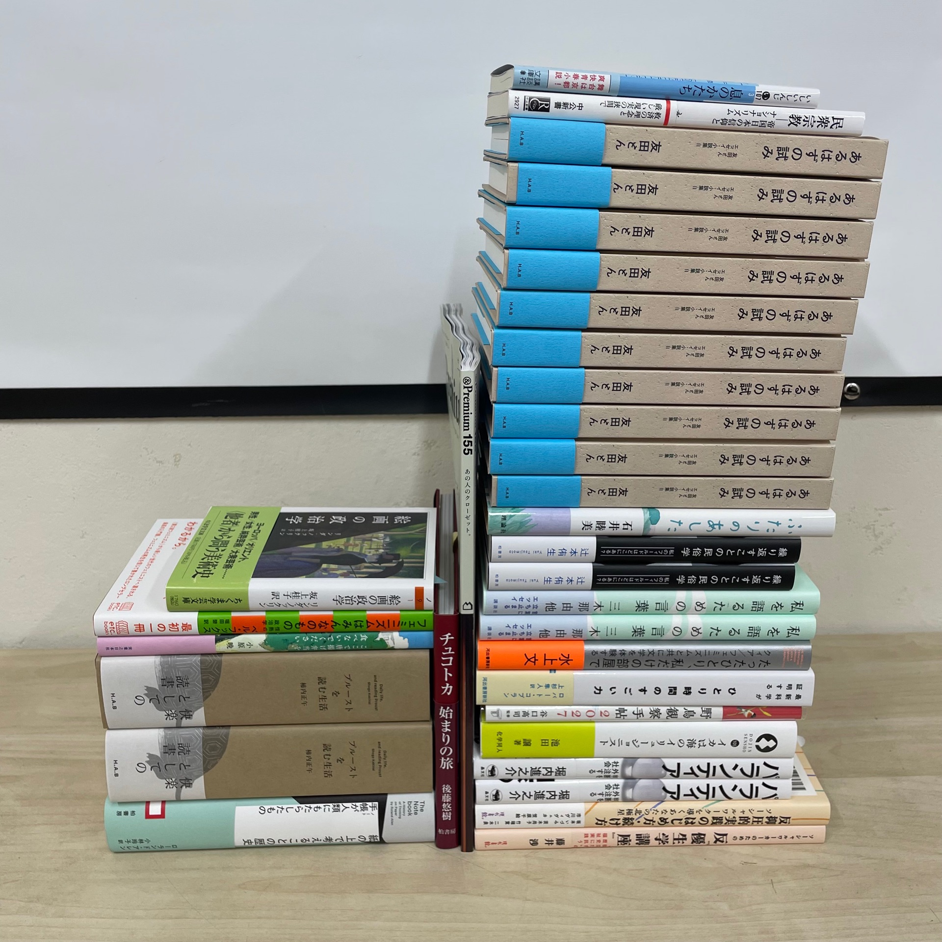 あるはずの試み