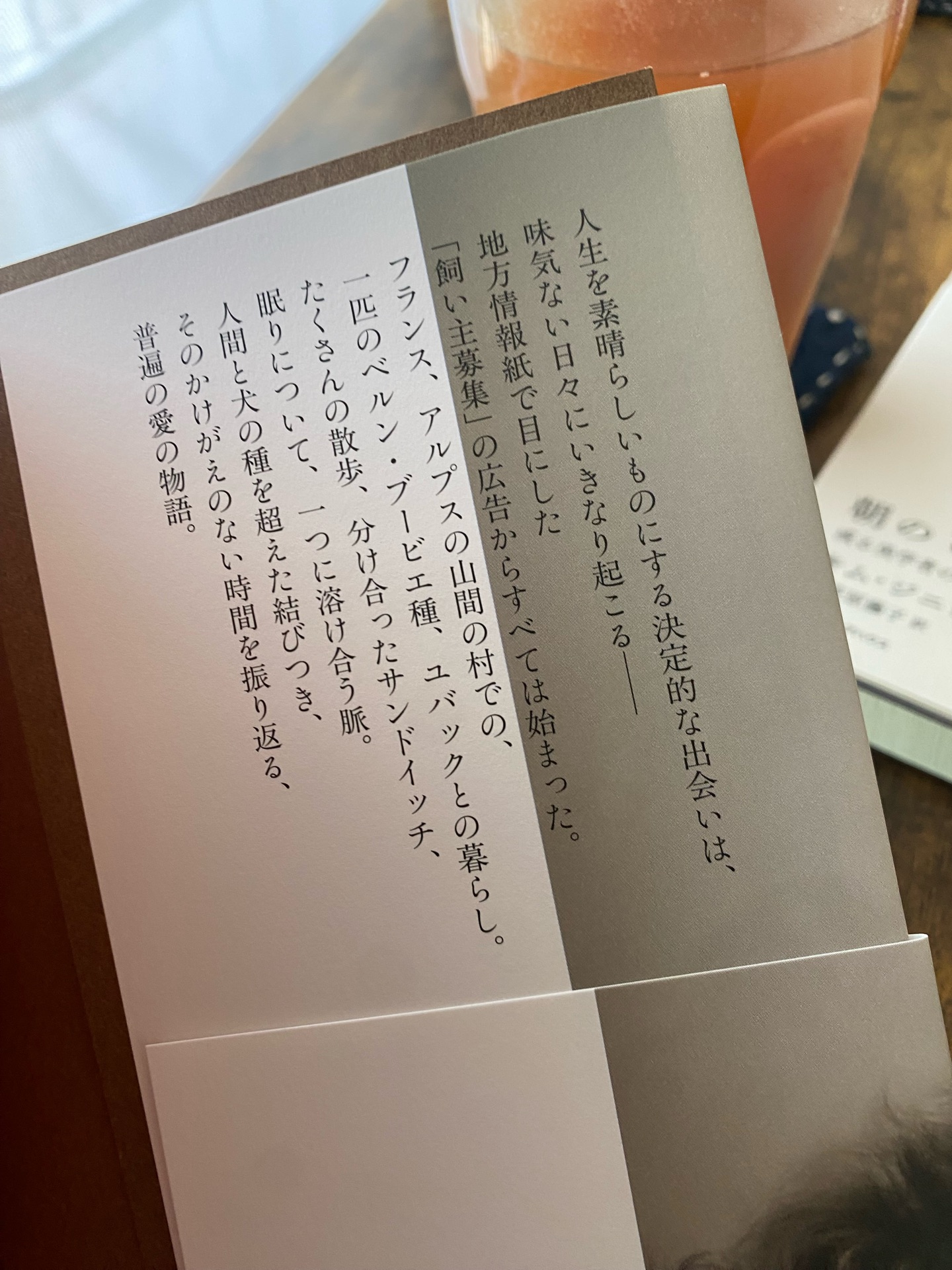 雨上がりの君の匂い