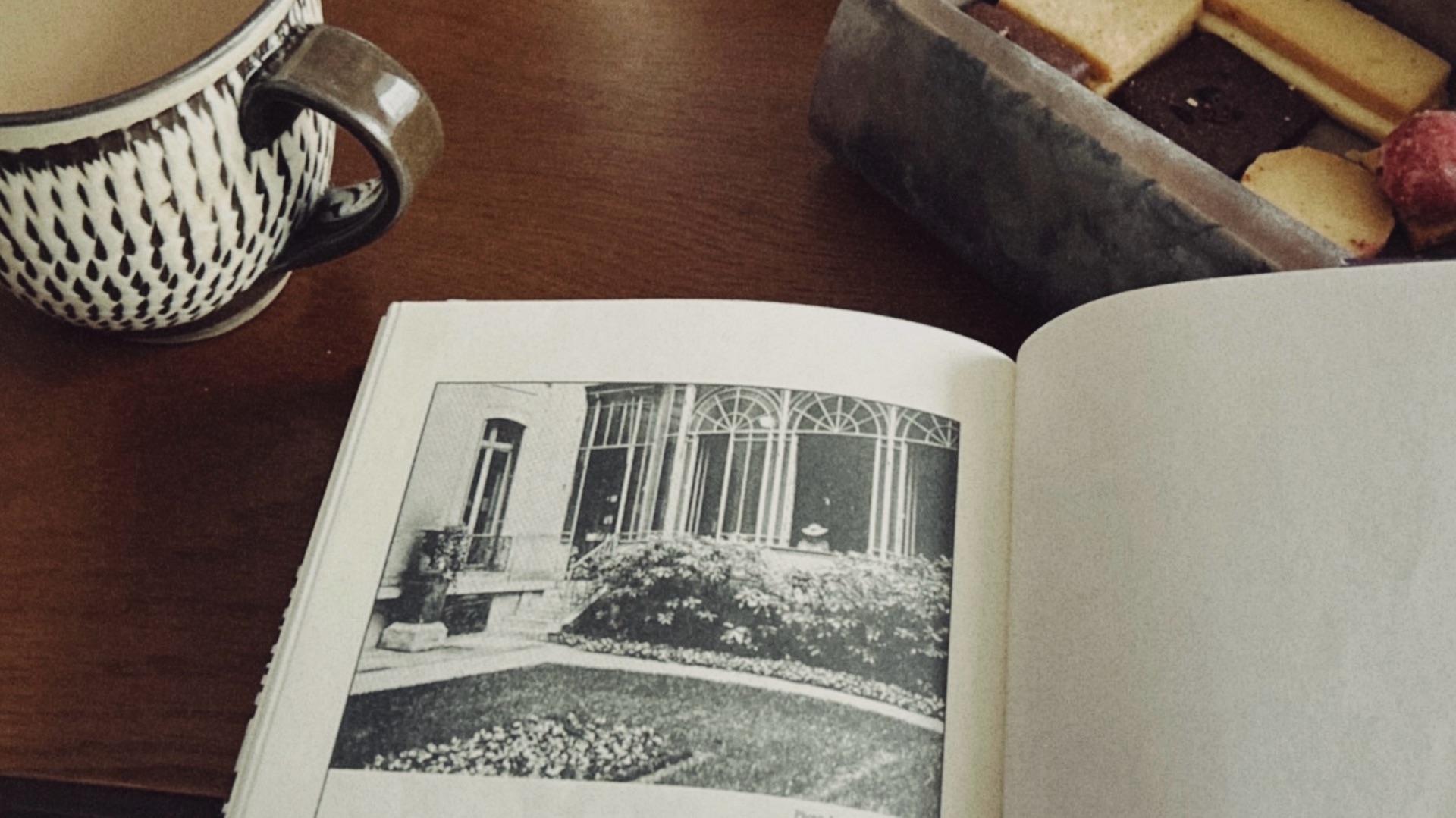あの図書館の彼女たち