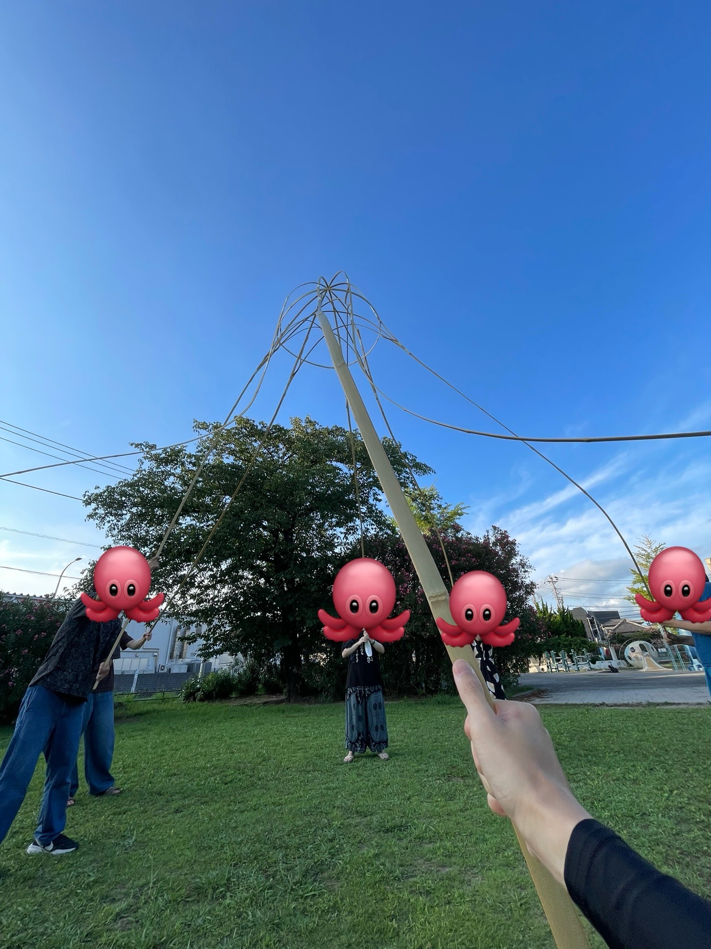 知覚の宙吊り(986)