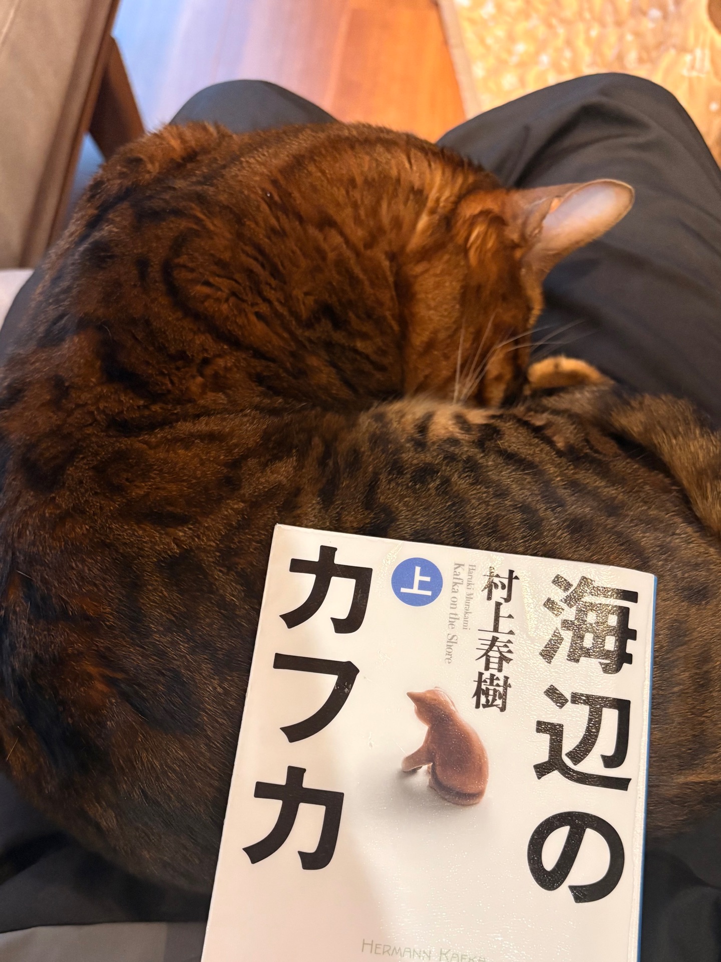 海辺のカフカ(上巻)