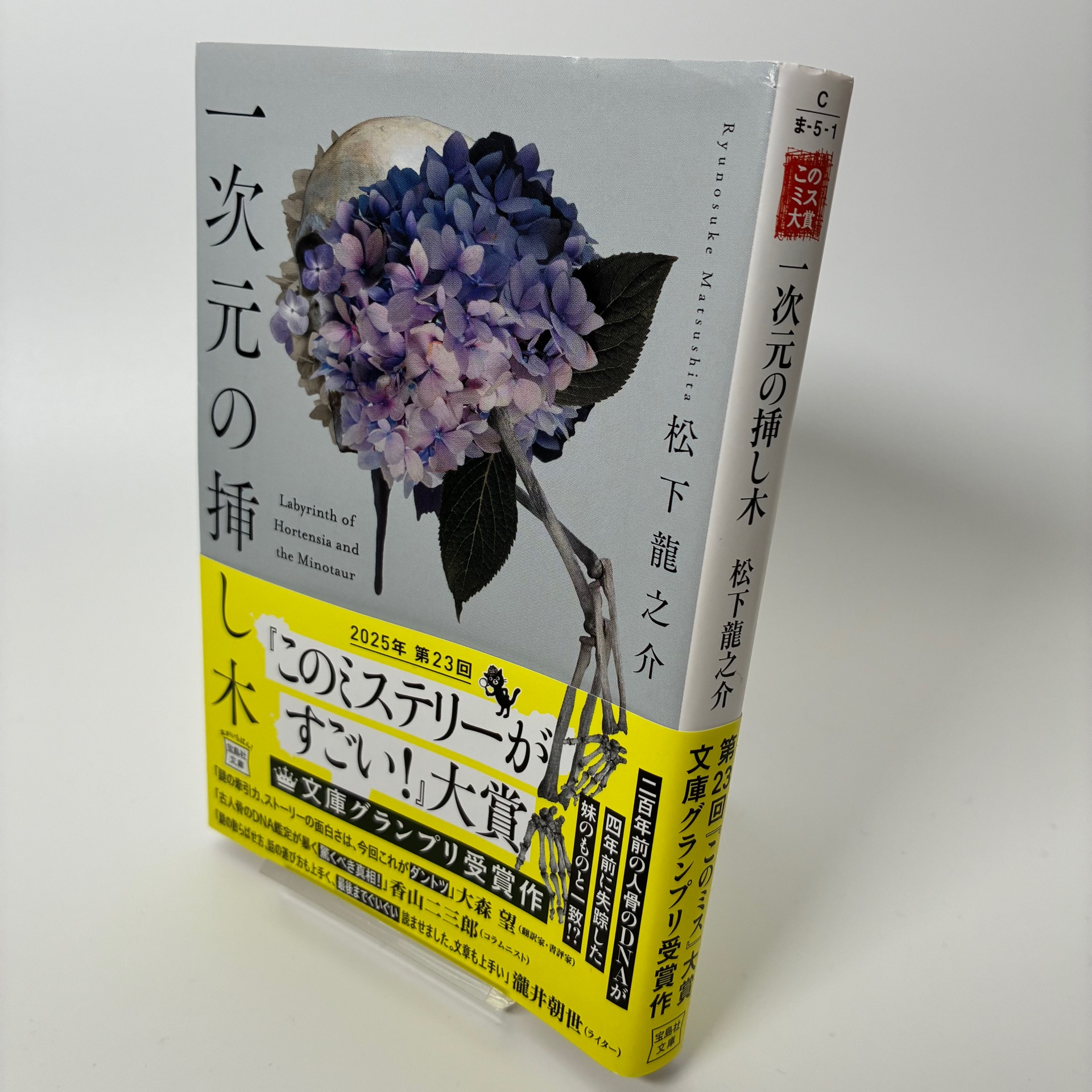 一次元の挿し木