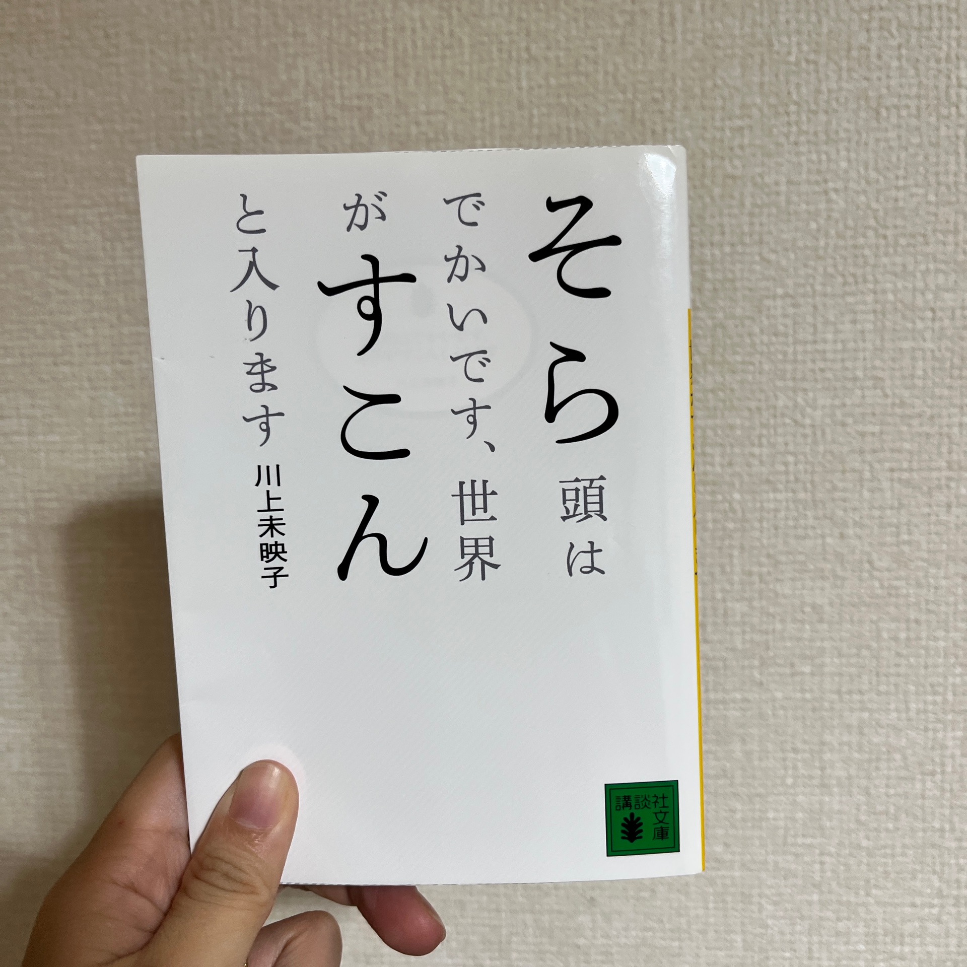 そら頭はでかいです、世界がすこんと入ります