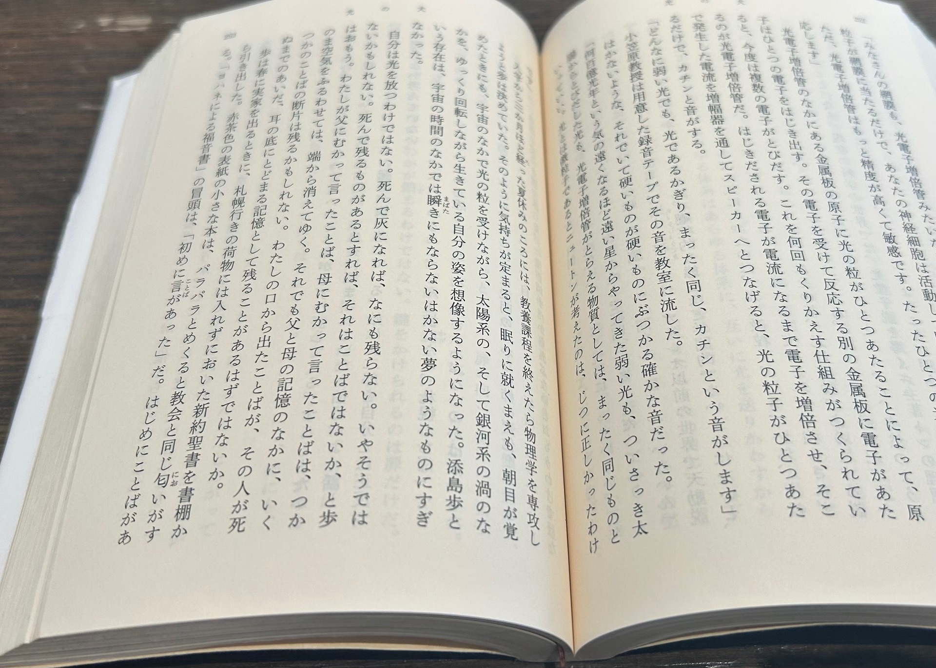 光の犬(新潮文庫)