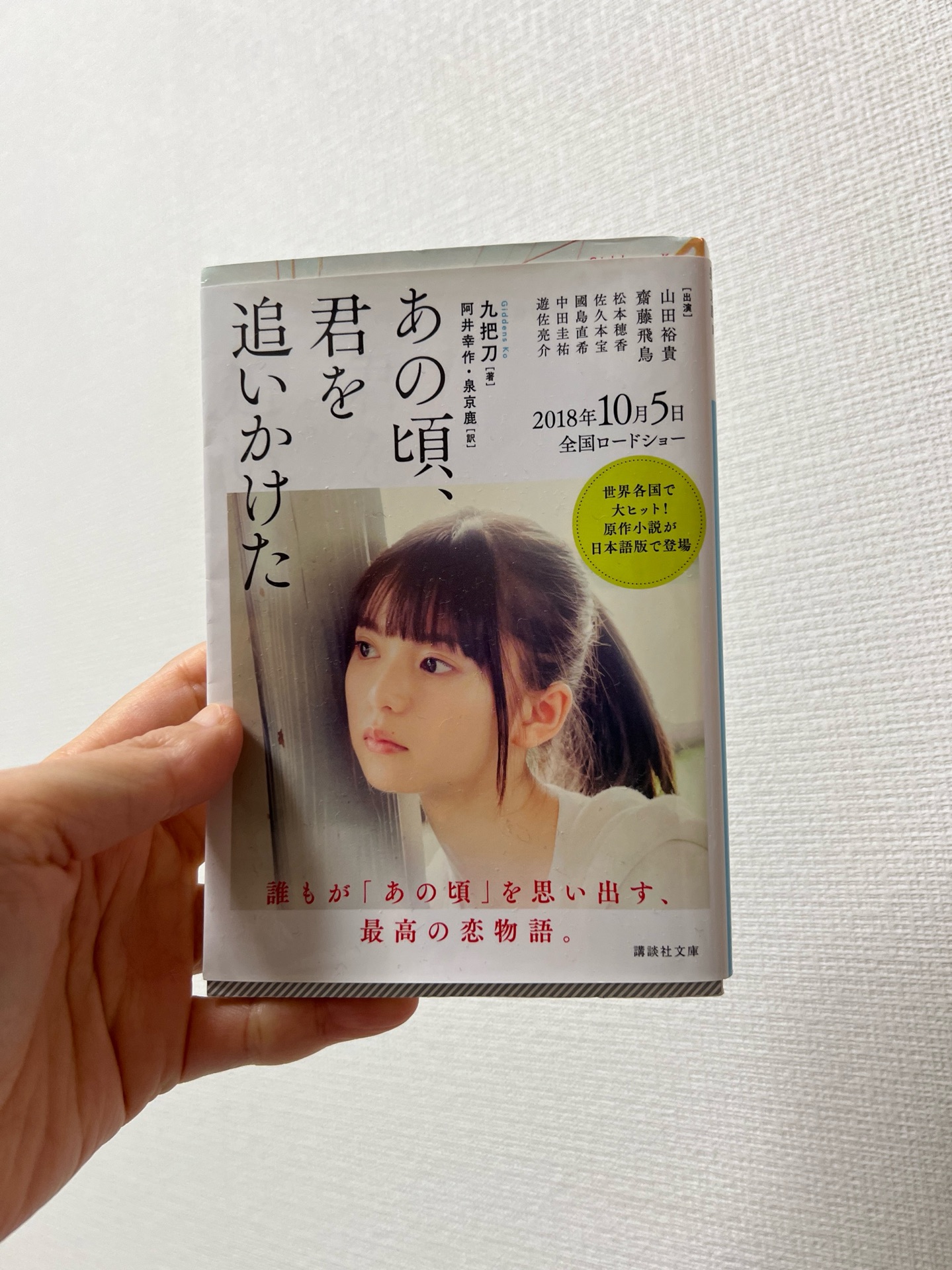 あの頃、君を追いかけた