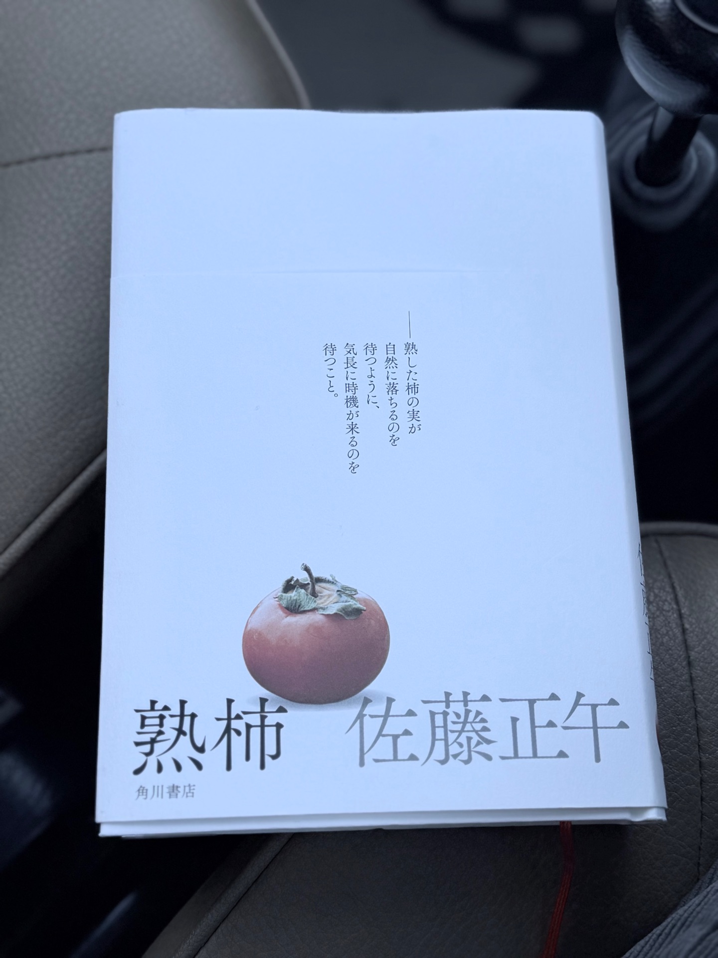 熟柿 (角川書店単行本)