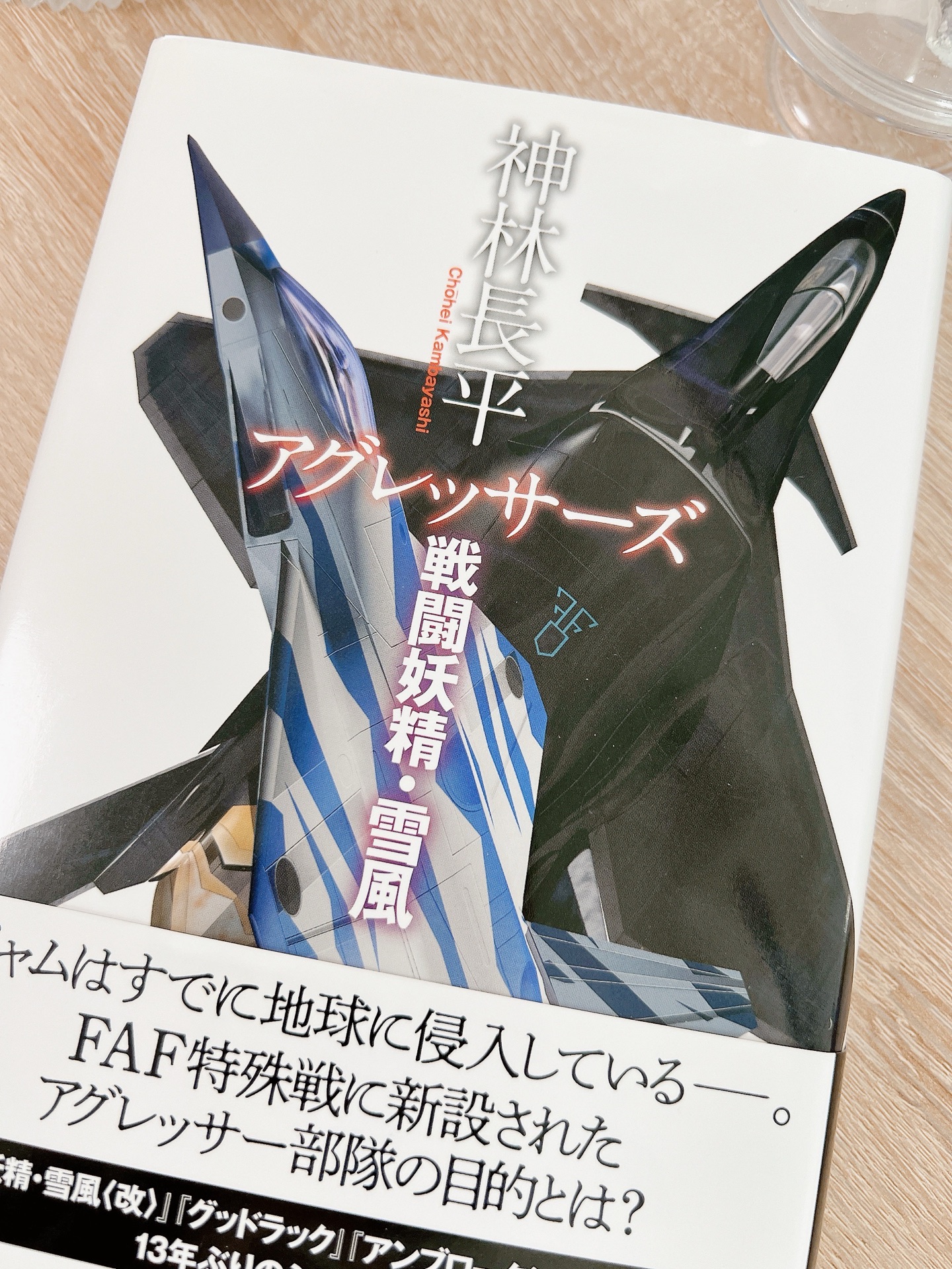 アグレッサーズ　戦闘妖精・雪風