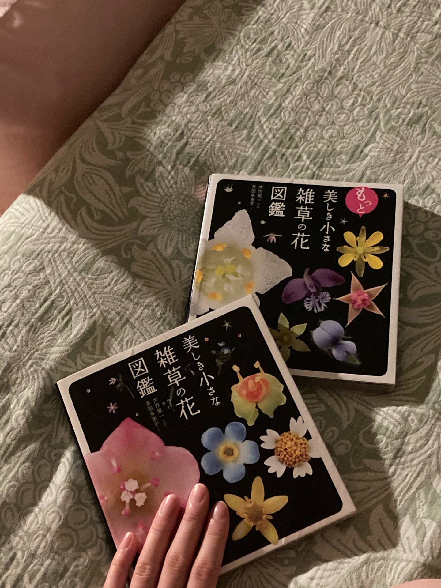 美しき小さな雑草の花図鑑