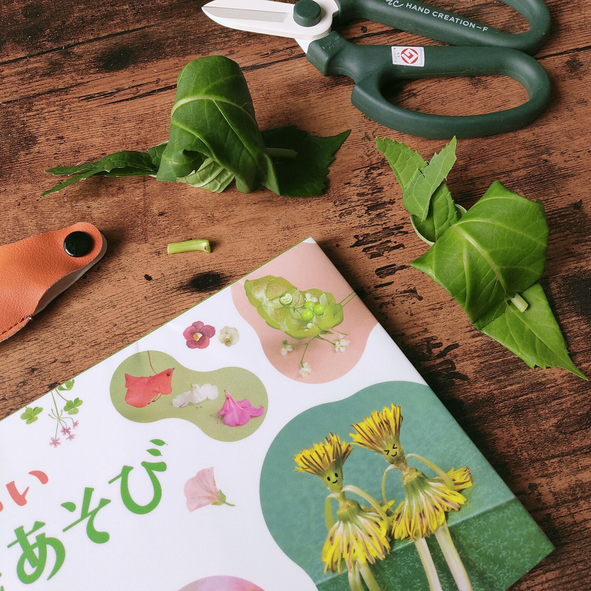 作ってびっくり!かわいい草花あそび