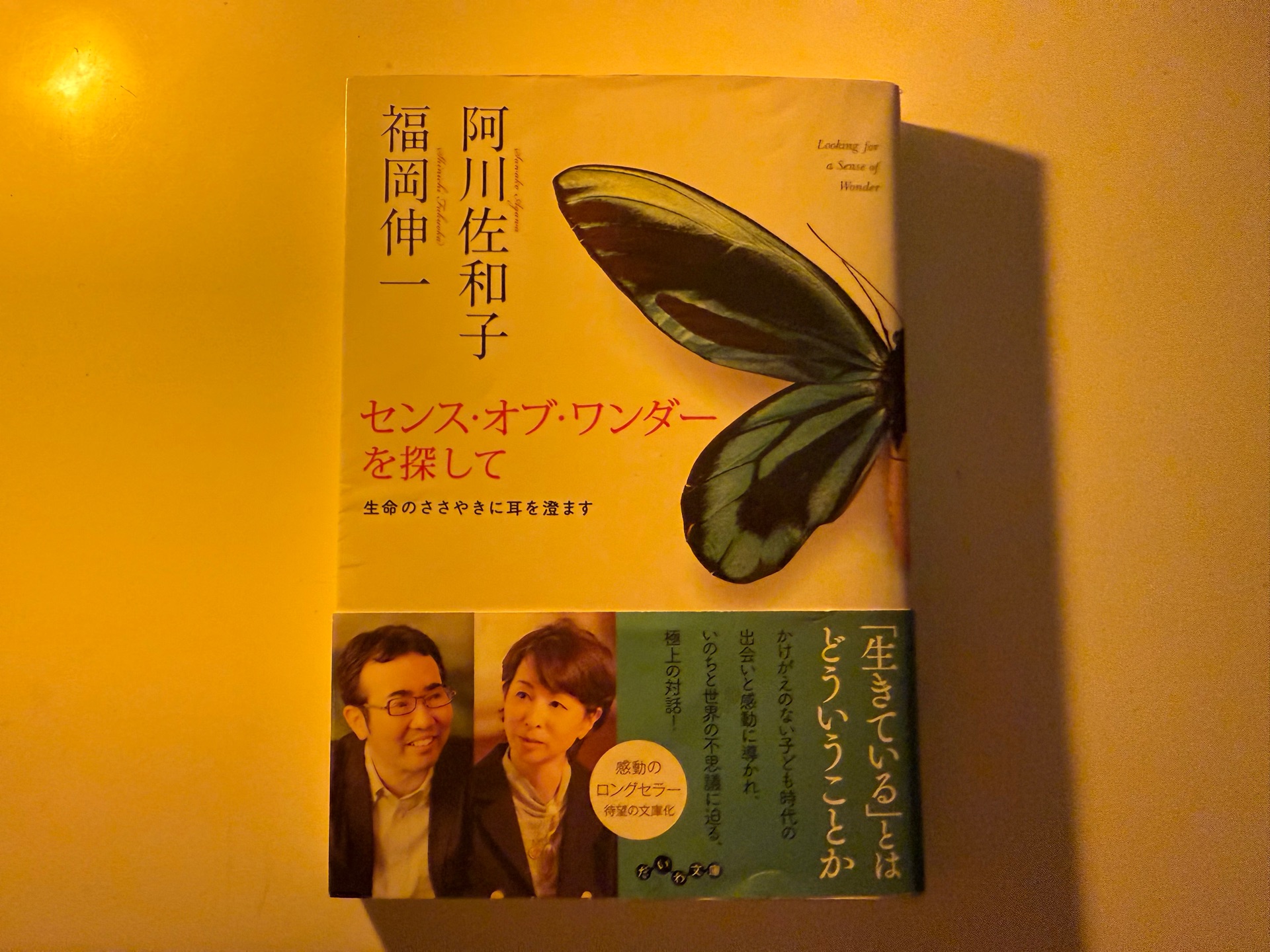 センス・オブ・ワンダーを探して