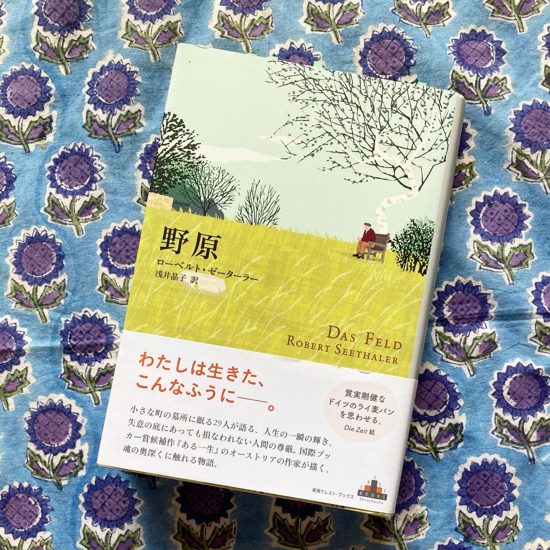 野原(新潮クレスト・ブックス)