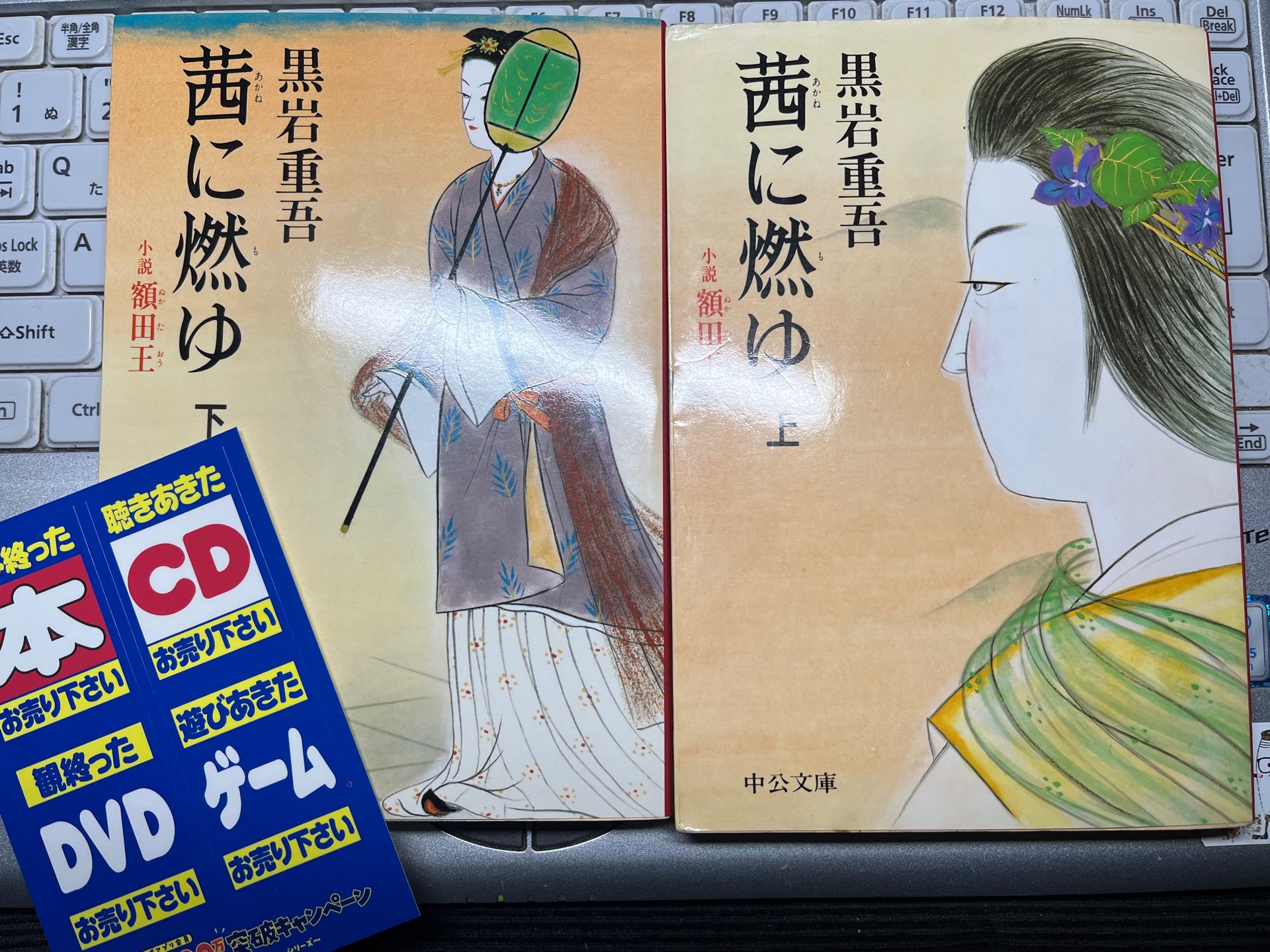茜に燃ゆ 上: 小説額田王