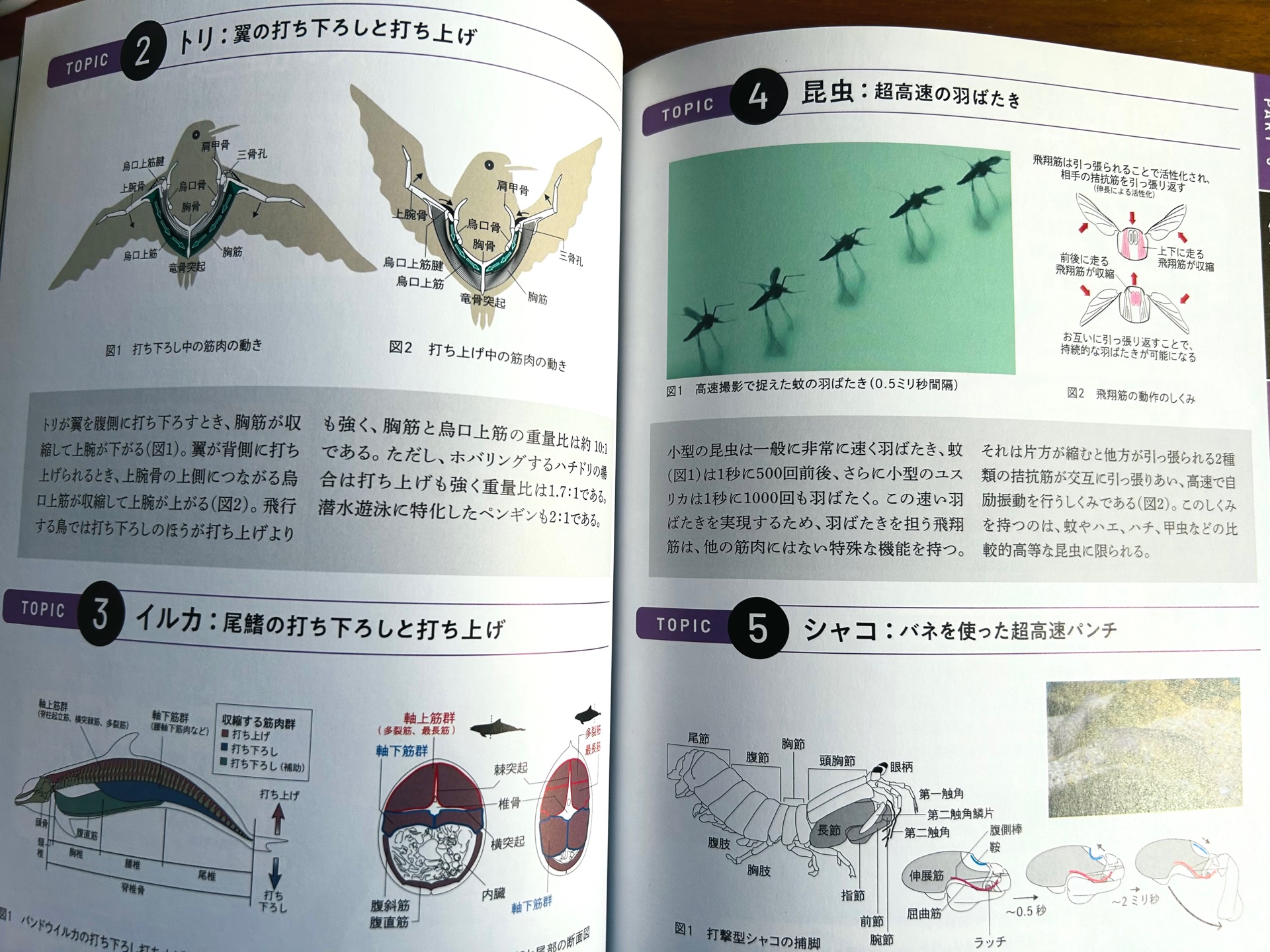 動物たちの生きるしくみ図鑑