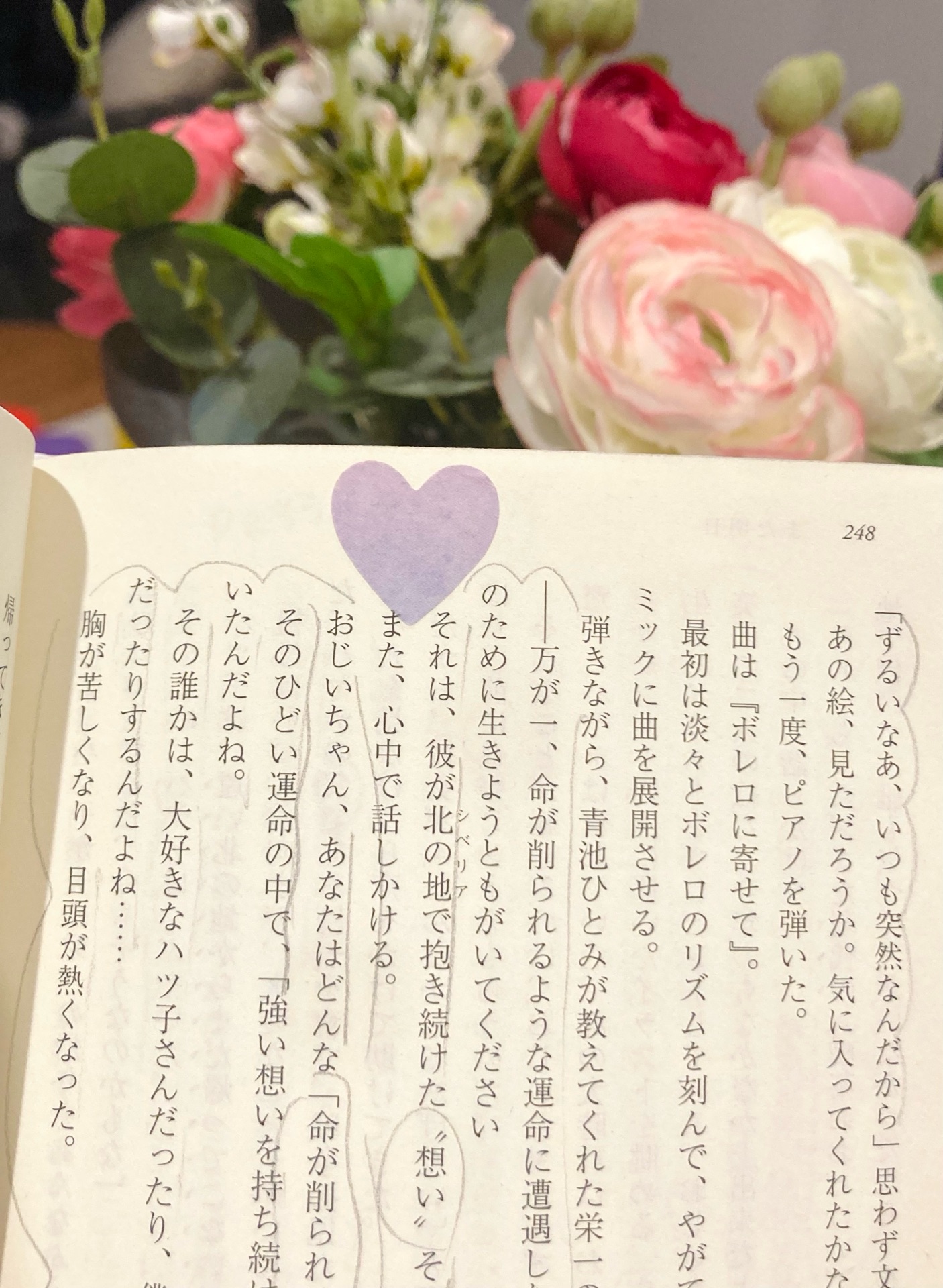 さかのぼり喫茶おおどけい