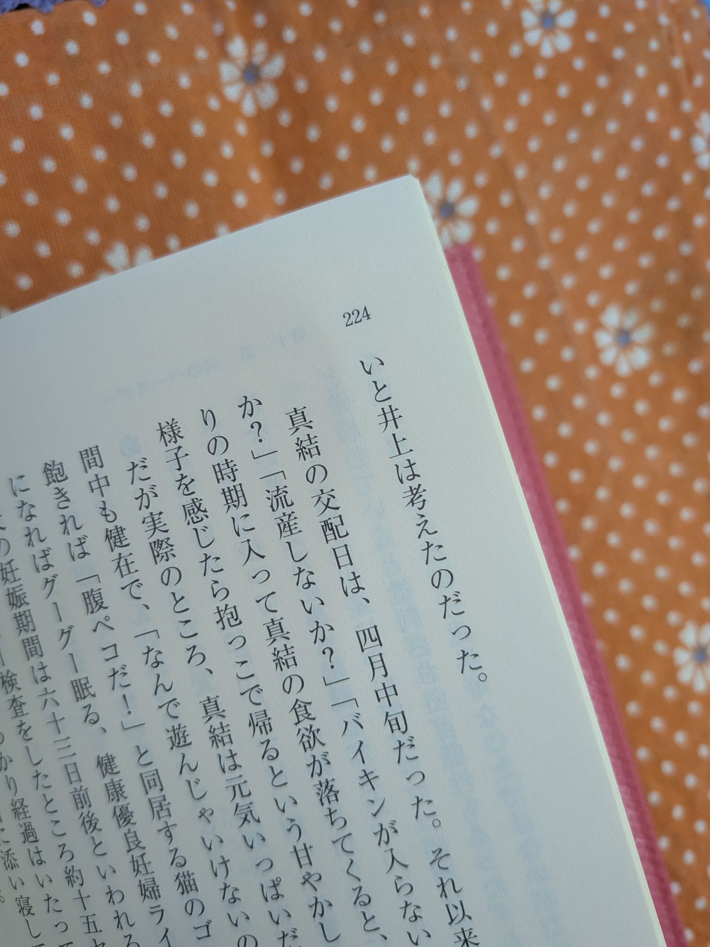 平成犬バカ編集部 (集英社文庫)