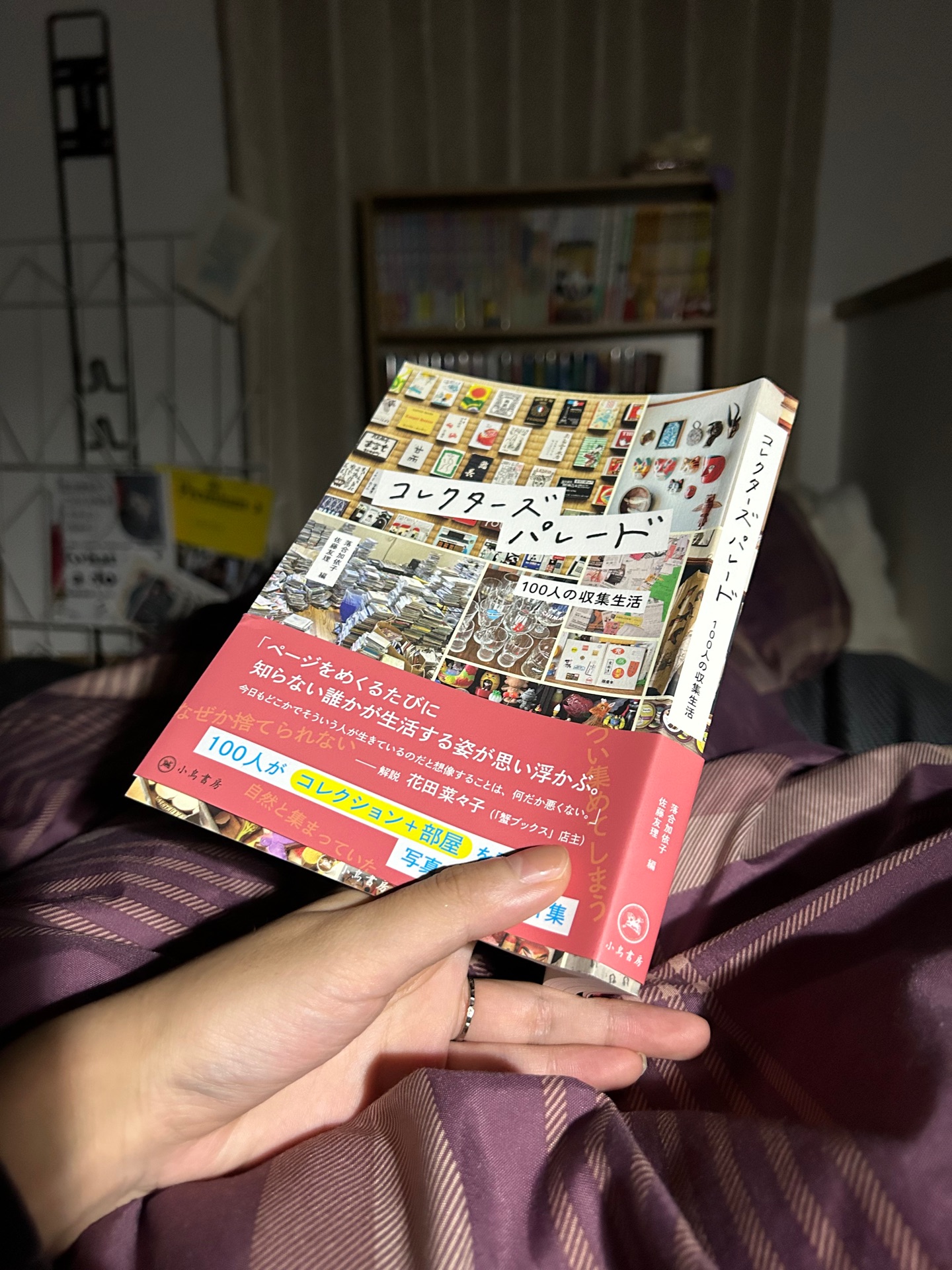 コレクターズパレード 100人の収集生活