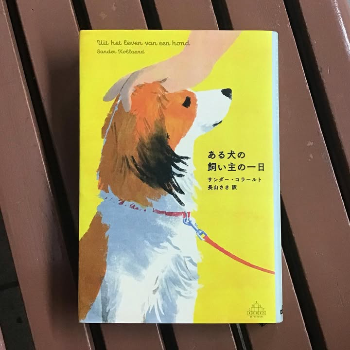 ある犬の飼い主の一日