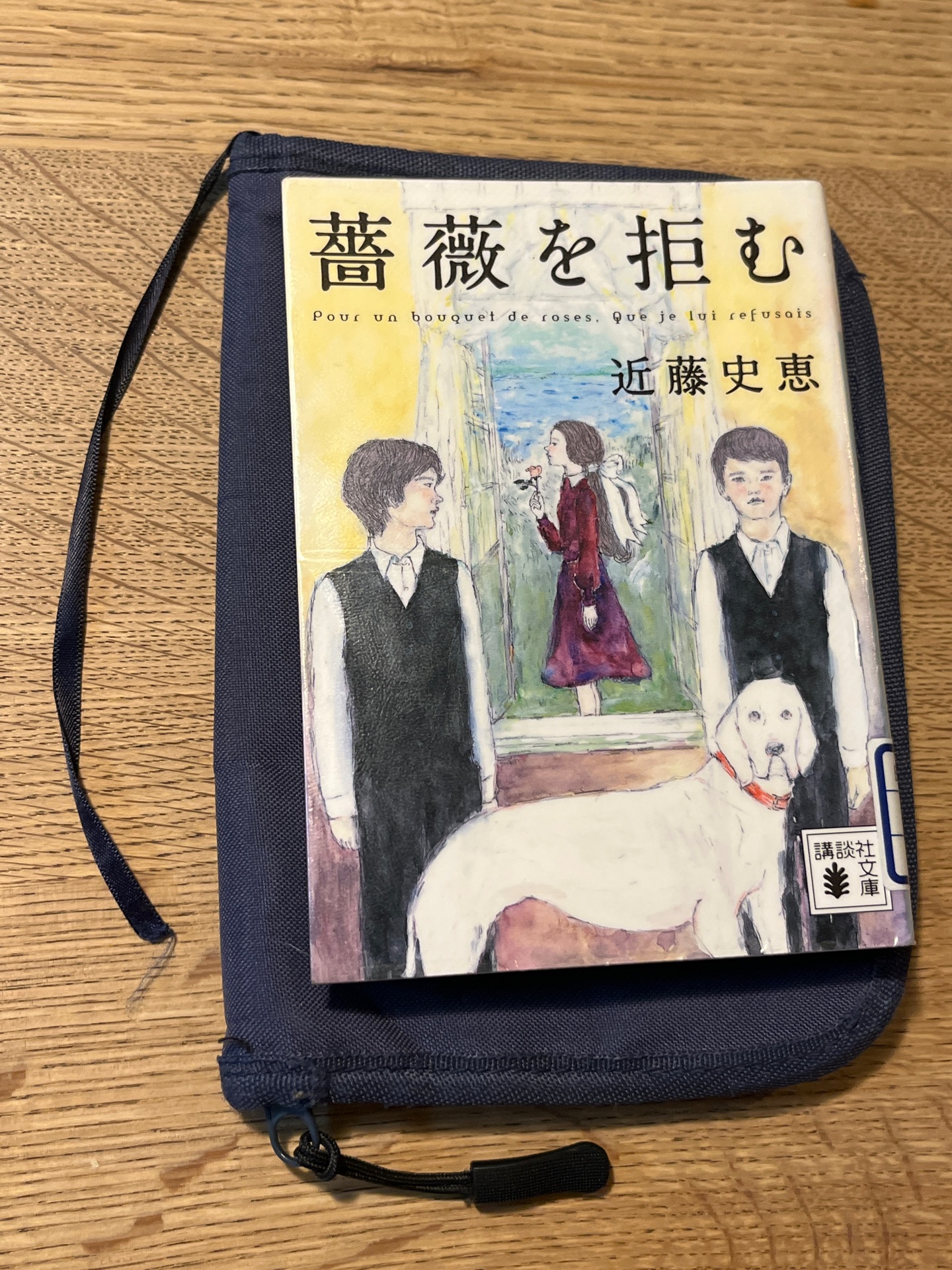 薔薇を拒む (講談社文庫 こ 84-1)