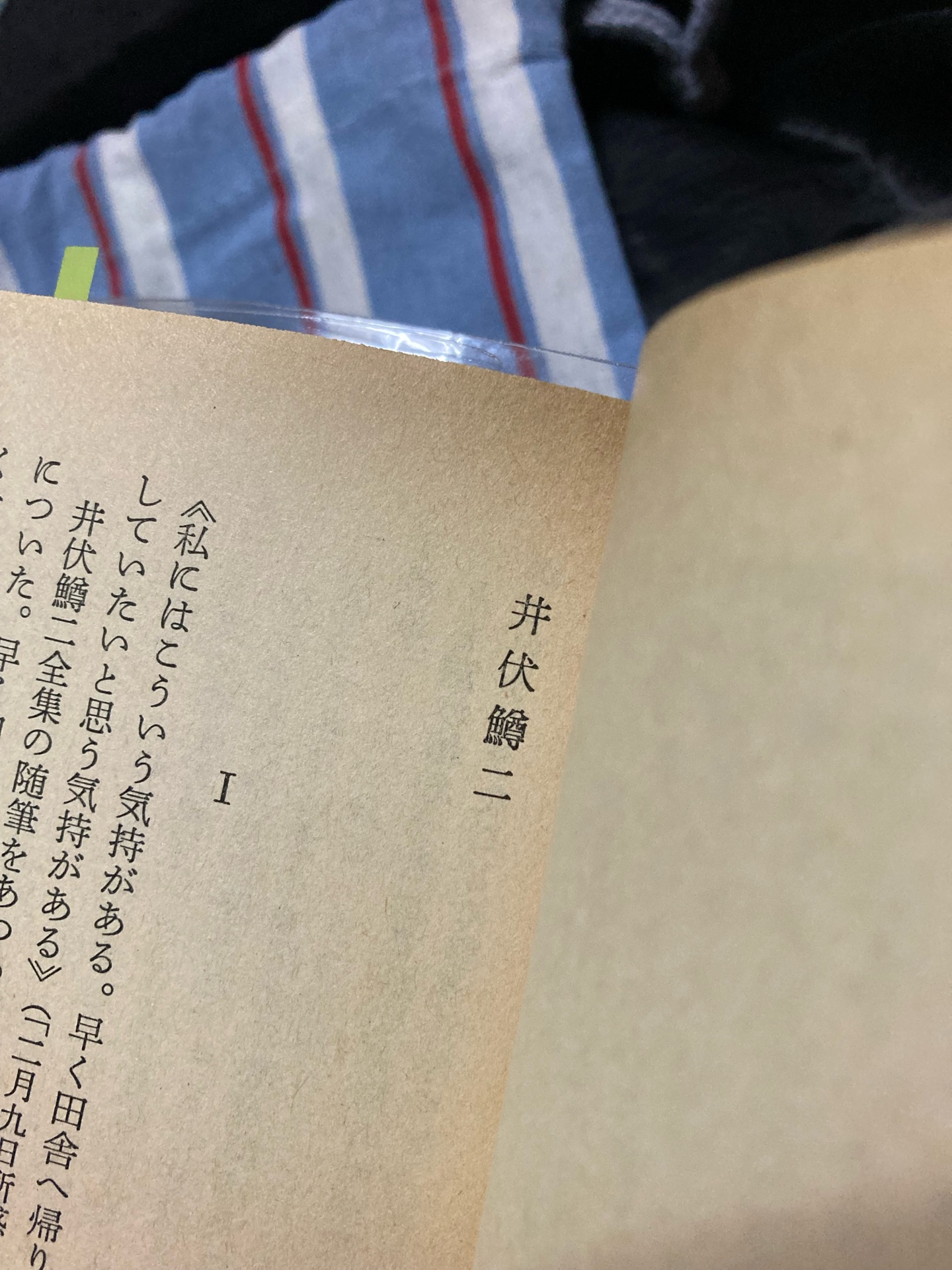 小説家の小説家論