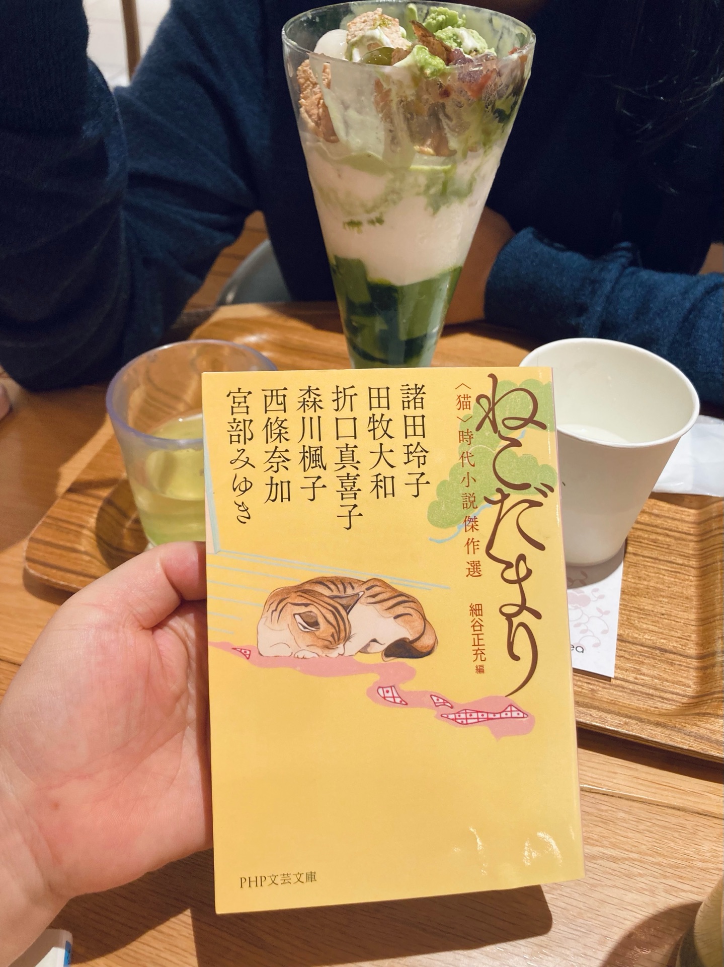 ねこだまり
