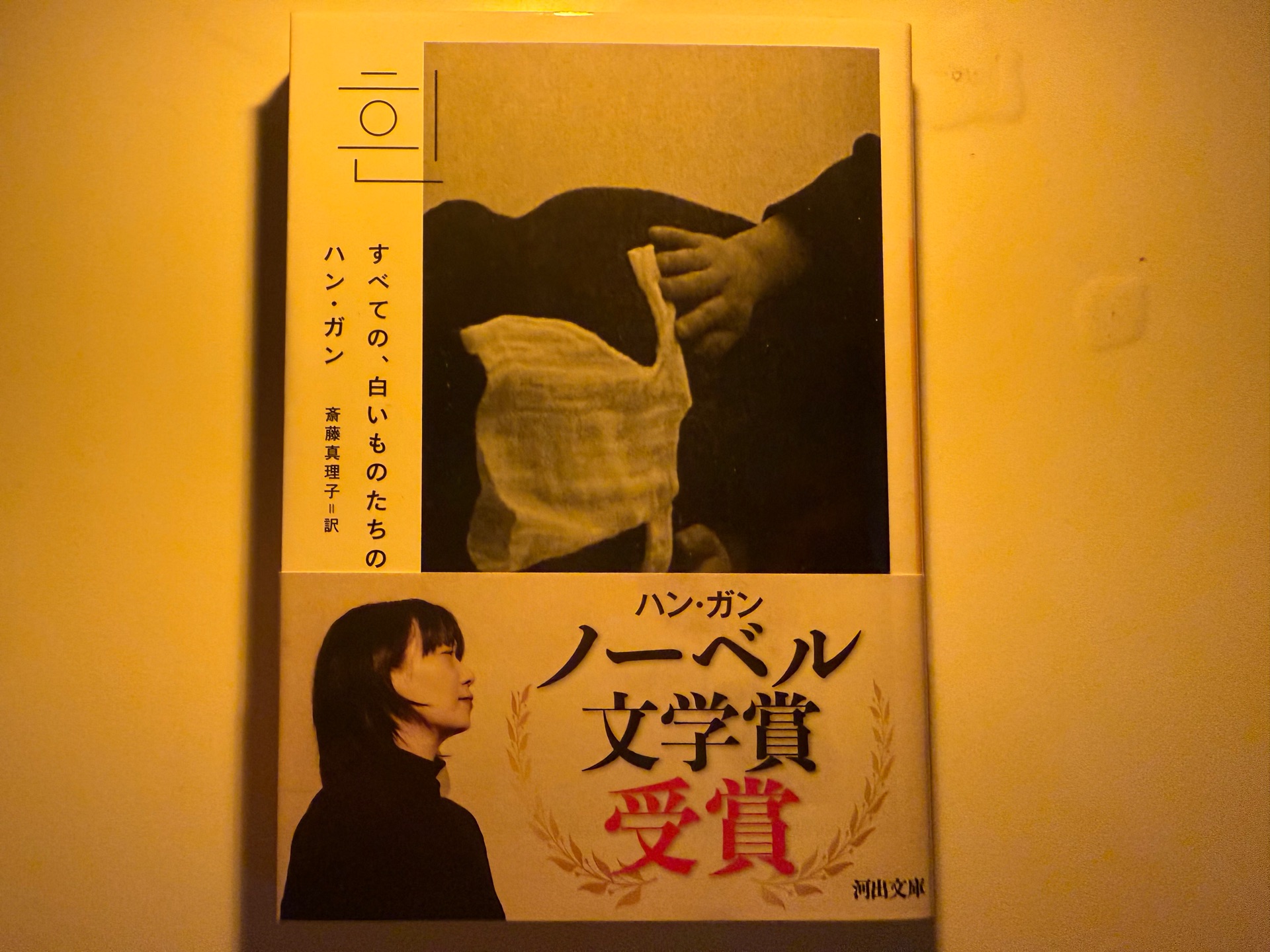 すべての、白いものたちの